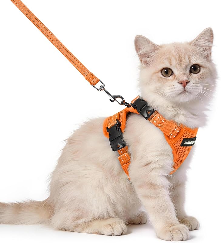 Peitoral para Gatos com Guia, Ajustável e com Fivela no Pescoço rabbitgoo, Orange