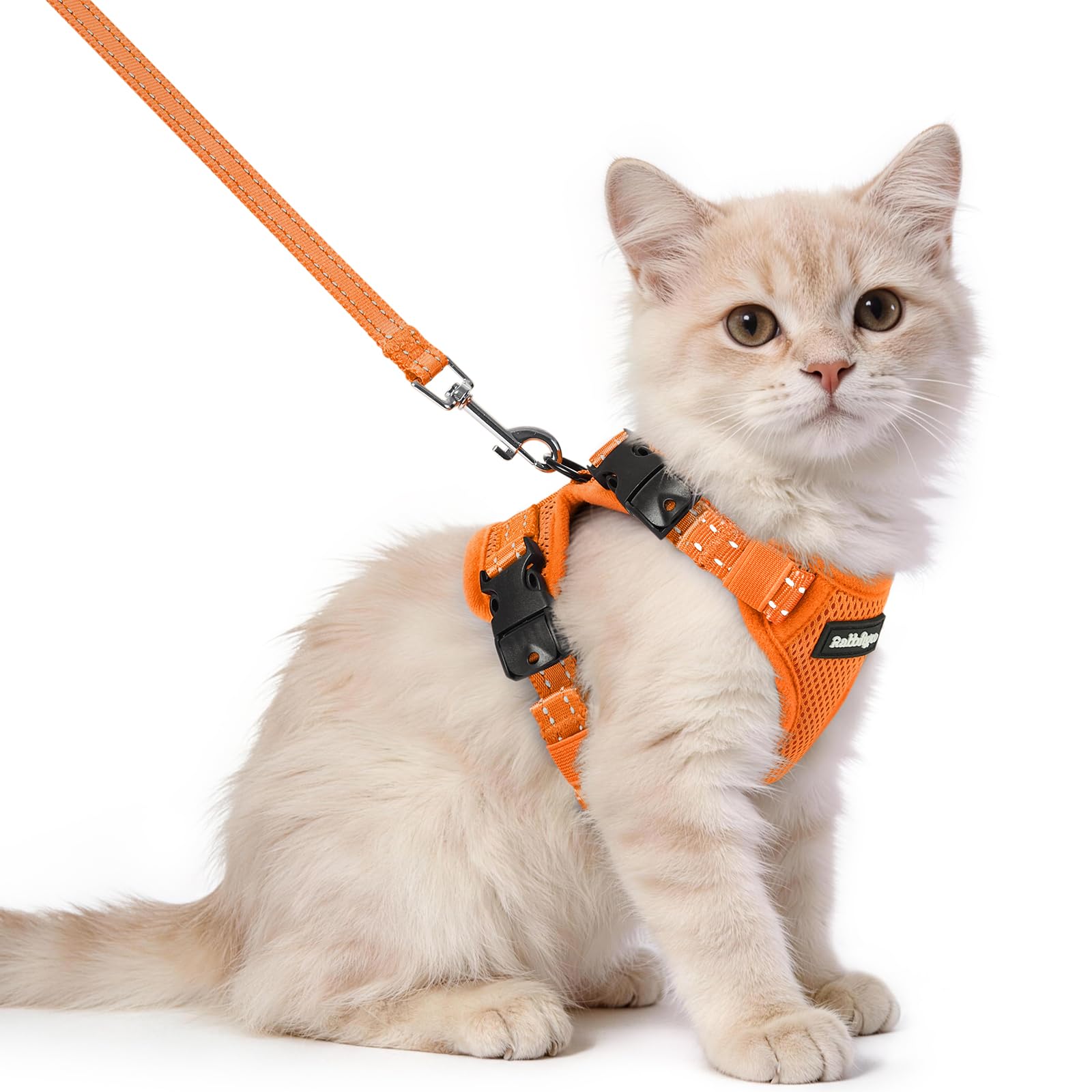 rabbitgoo Cat Harness and Lead Set, Easy-on with Neck Buckle, Orange — image 1