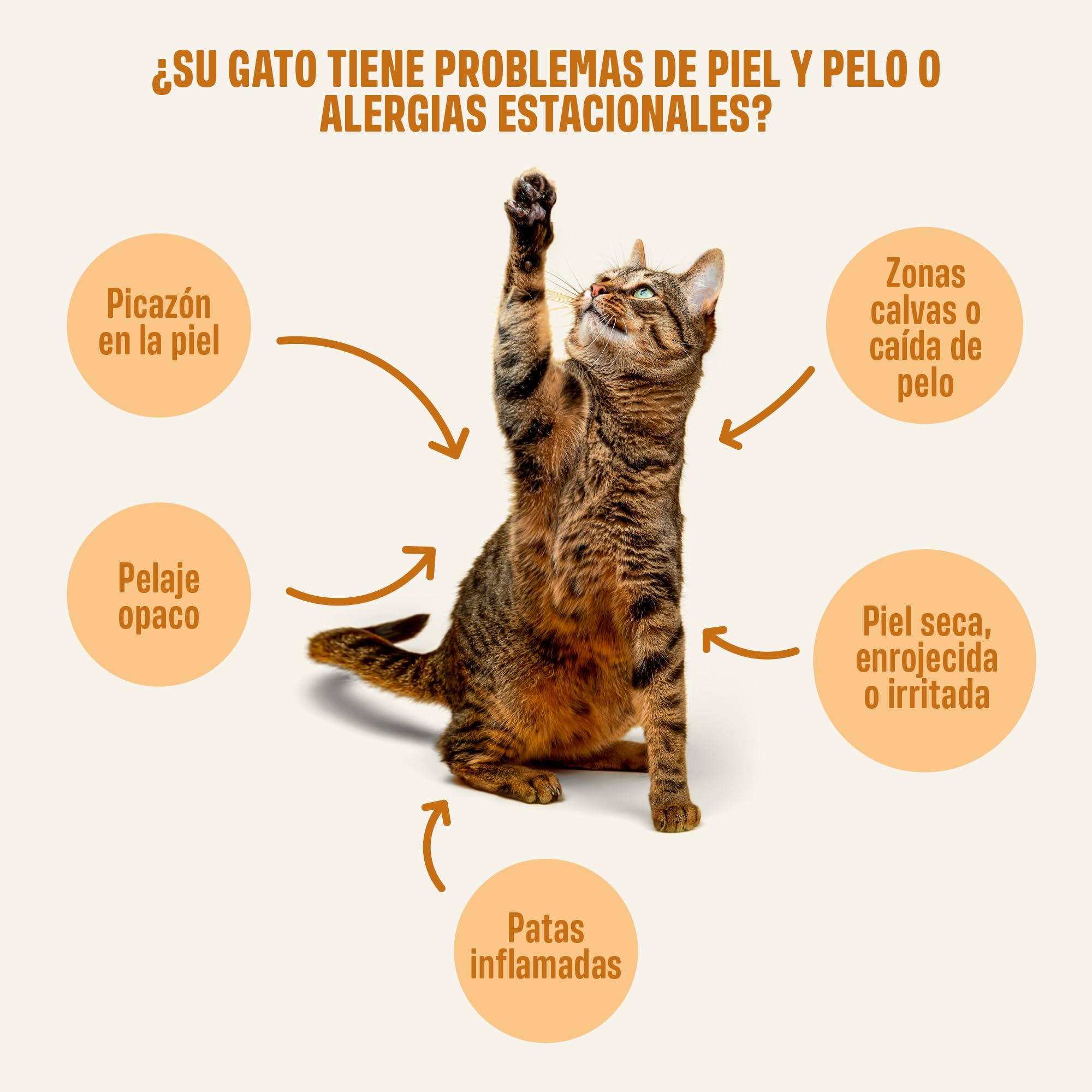 ivvi Piel & Pelaje Esencia para Gatos – Crema Funcional con Aceite de Salmón, Aceite de Algas, Zinc y Colágeno – Ayuda a la Piel y el Pelaje – 30x15g – con Atún Real