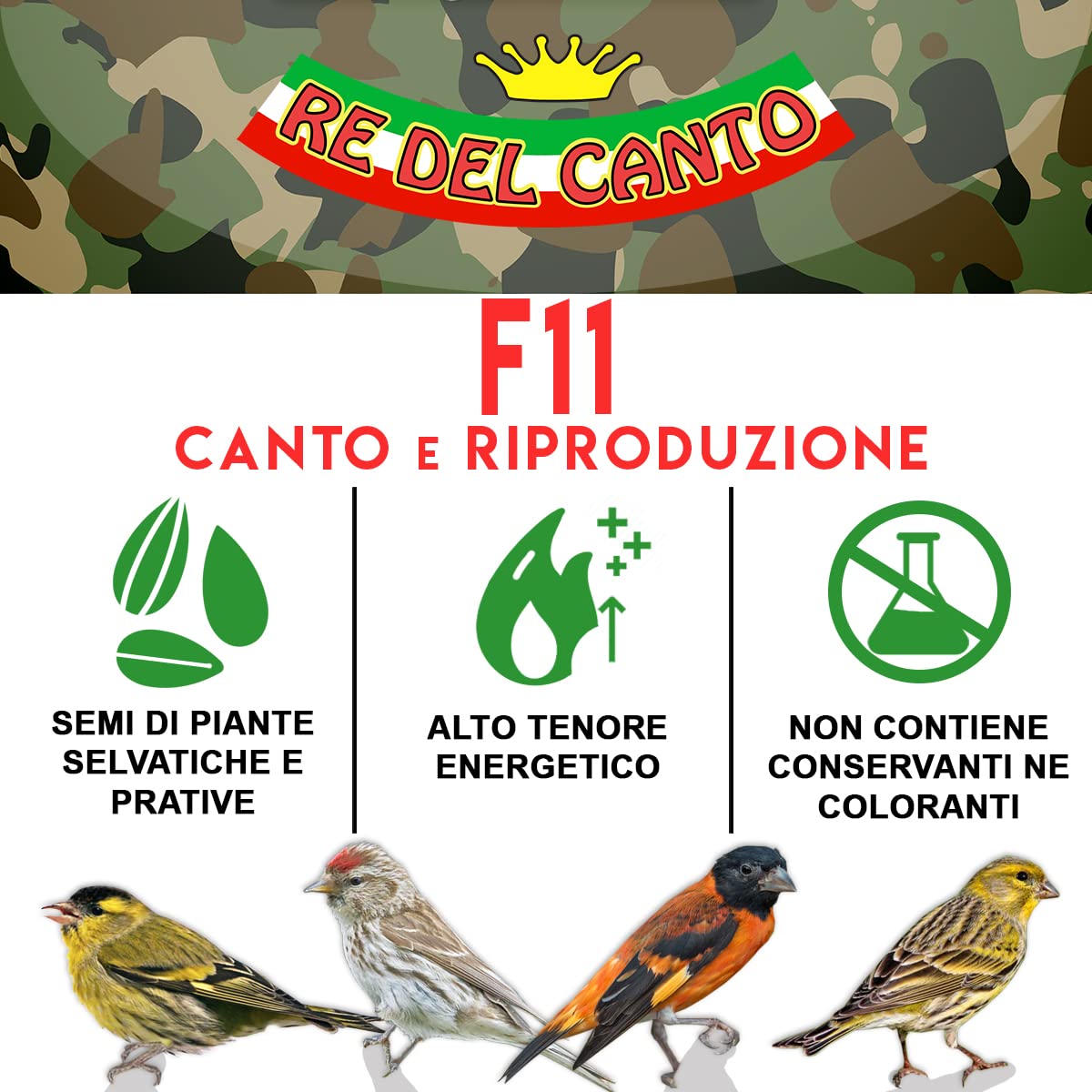 F11 Canto e Riproduzione - 1 Pack da 3kg - Pastone+Miscela Semi - Alimento per cardellini, lucherini, organetti, verzellini, cardinalini Venezuela, spinus, Mangime