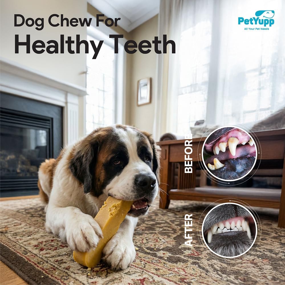 Bulk Yak Cheese Himalayan Dog Chews - 10 Value Pack & 2 XL Yak Cheese Chews per Pack - Rich in Protein & Long Lasting Dog Treats for Aggressive Chewers & Large Dogs - 4.5lb