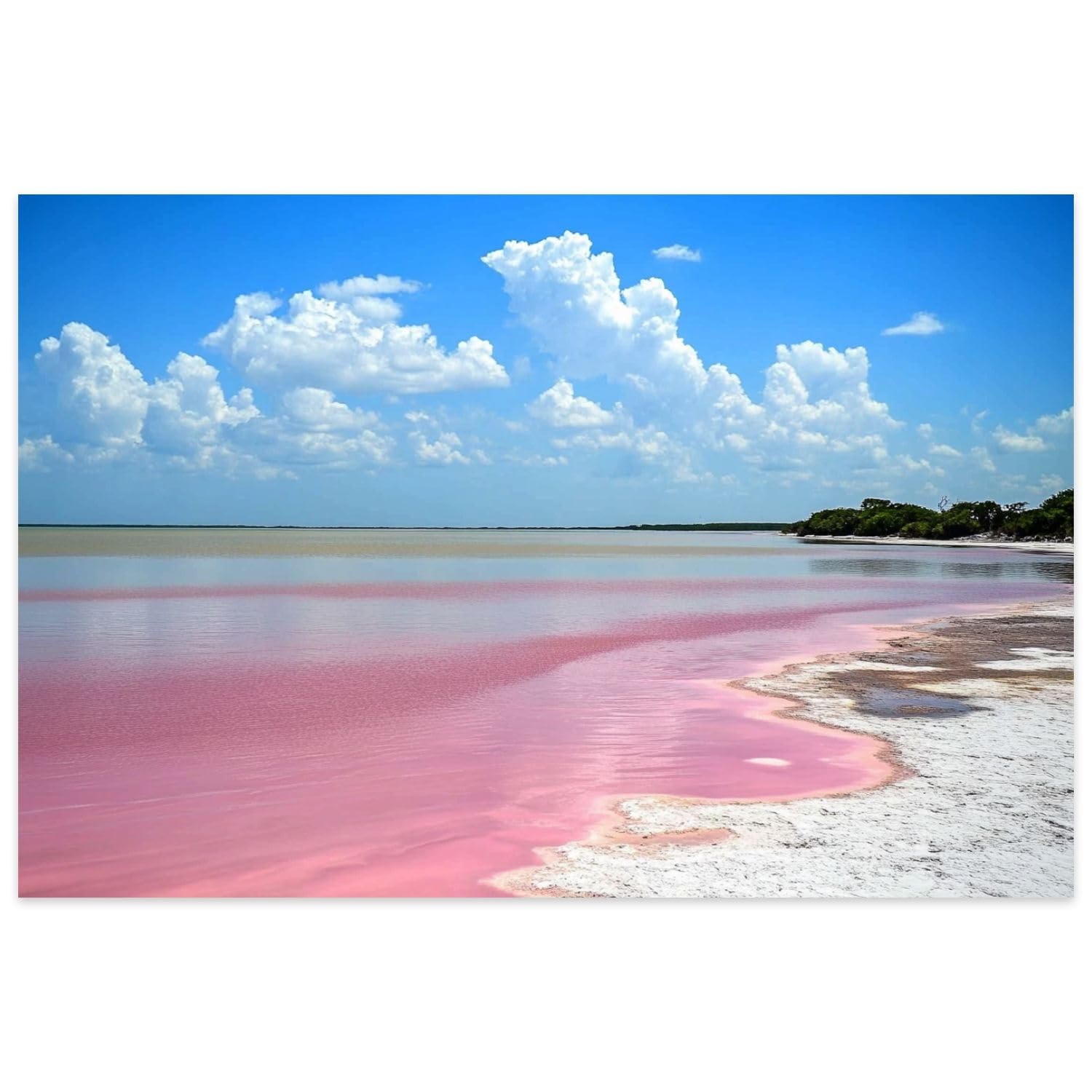 1000 Pieces Puzzles for Adults - Pink Lake Coloradas Jigsaw Puzzles Educational Game Puzzle Collectibles DIY Toys for Family Friends