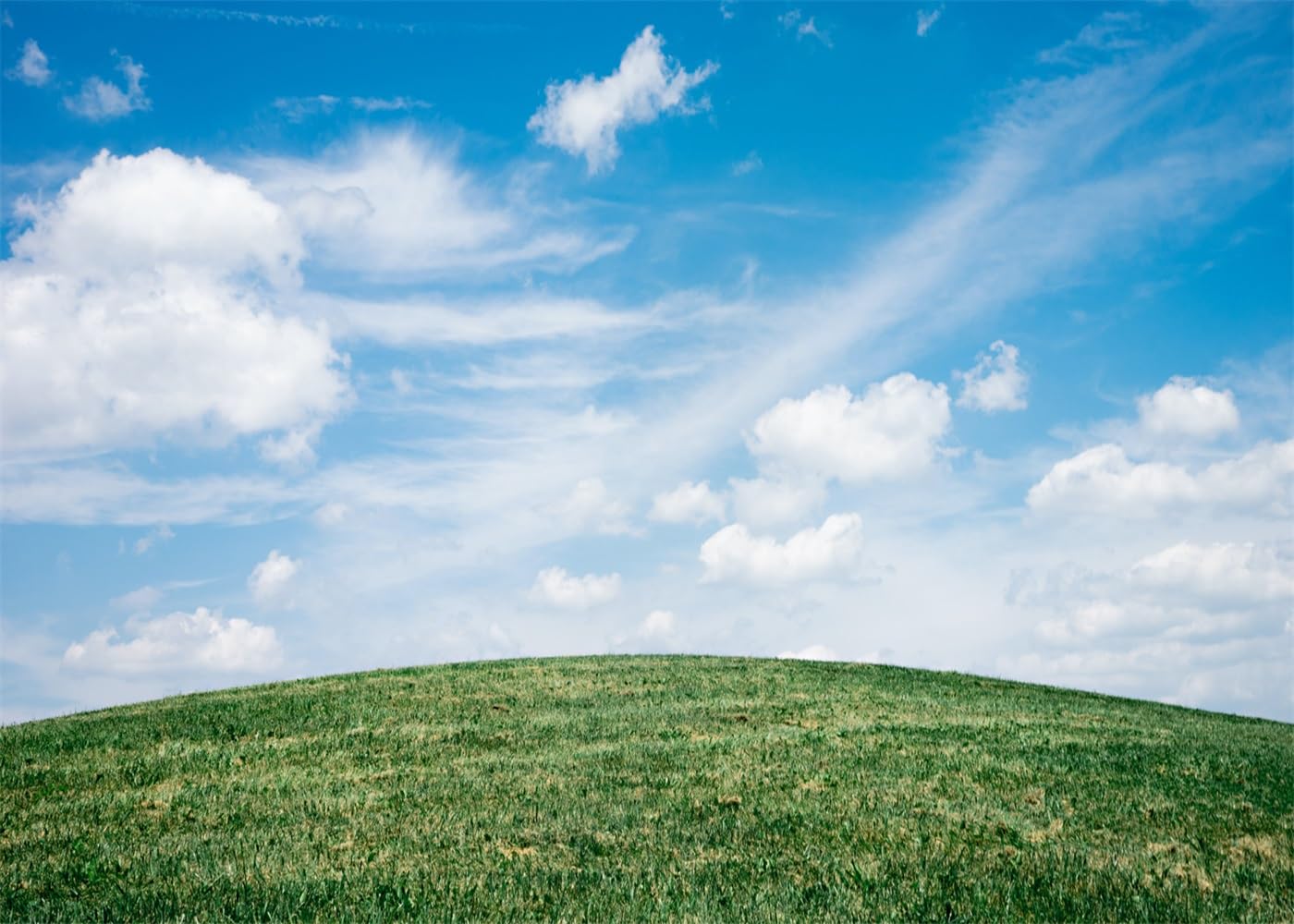 Fmarui Natural Backdrop White Clouds and Blue Sky Photography Backgrounds Green Grassland Backdrop for Photoshoot Props, 10x8FT, FCXAF889
