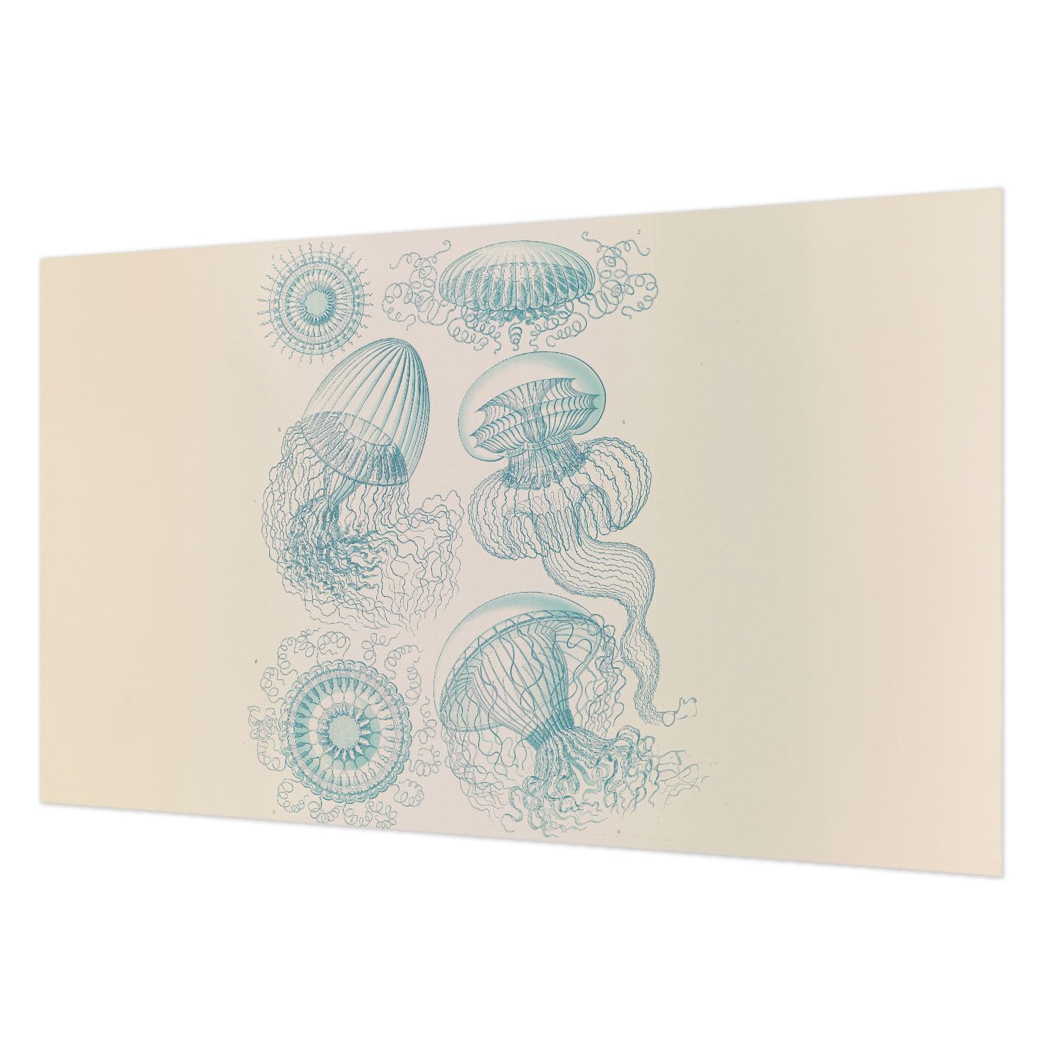 Papier peint intissé de haute qualité méduses de mer panoramique salon