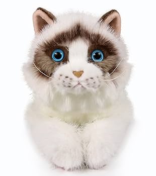 美品○昭和レトロ○ 猫 ぬいぐるみ○ラグドール キトン ラグドール ぬいぐるみ Sサイズ 猫 サンレモン : HONDA