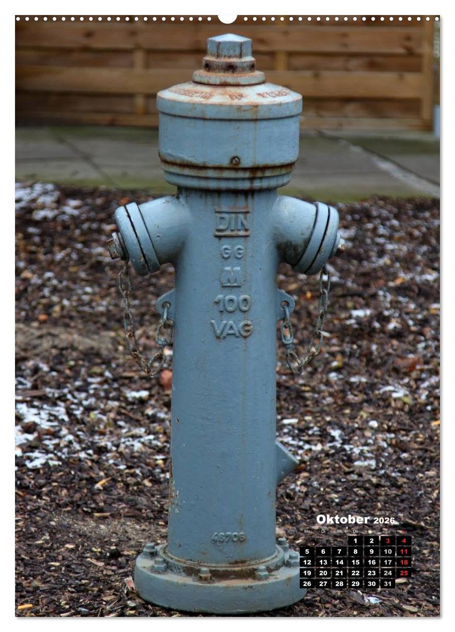 Nostalgie Hydranten (hochwertiger Premium Wandkalender 2026 DIN A2 hoch), Kunstdruck in Hochglanz: Hydranten am Straßenrand (CALVENDO Technologie)