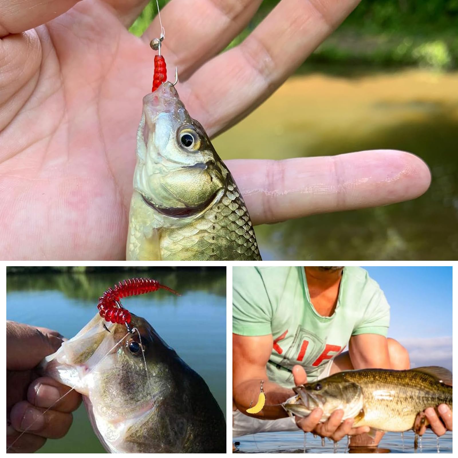 320 Piezas Señuelos Pesca Contiene Granos de Maíz Gusanos de Harina Gusanos de Sangre Lombrices de Tierra + 2 Piezas Caja de Cebo Señuelos de Pesca para Lagos Agua Dulce Ríos Zonas Costeras