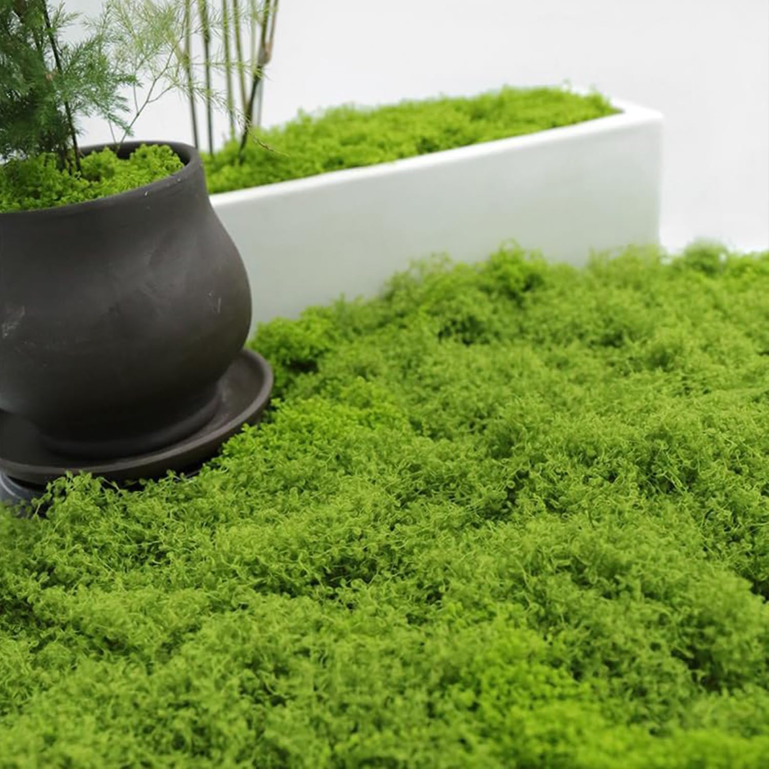 Mousse Artificielle Pour Plantes En Pot (113,4 G) Pour Décoration D' Intérieur, Jardin, Artisanat, Décoration De Mariage (vert Frais