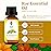 SVA Rue Essential Oil - 1/3 Fl Oz - 100% Natural Rue Oil - for Diffuser, Hair Care, Face, Skin Care, Aromatherapy, Scalp and Body Massage, Soap and Candle Making