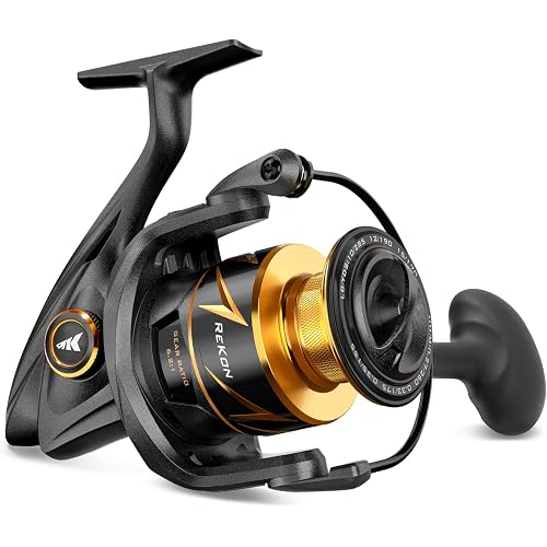 KastKing ReKon Saltwater Spinning Fishing Reel – Powerful for Big Game
