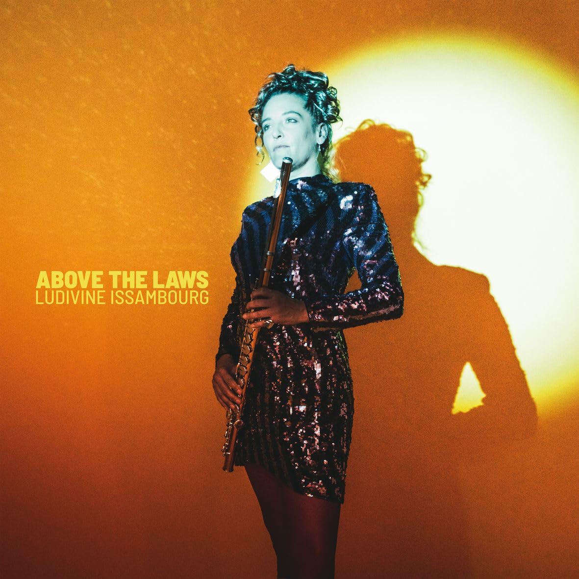Above the Laws [VINYL]