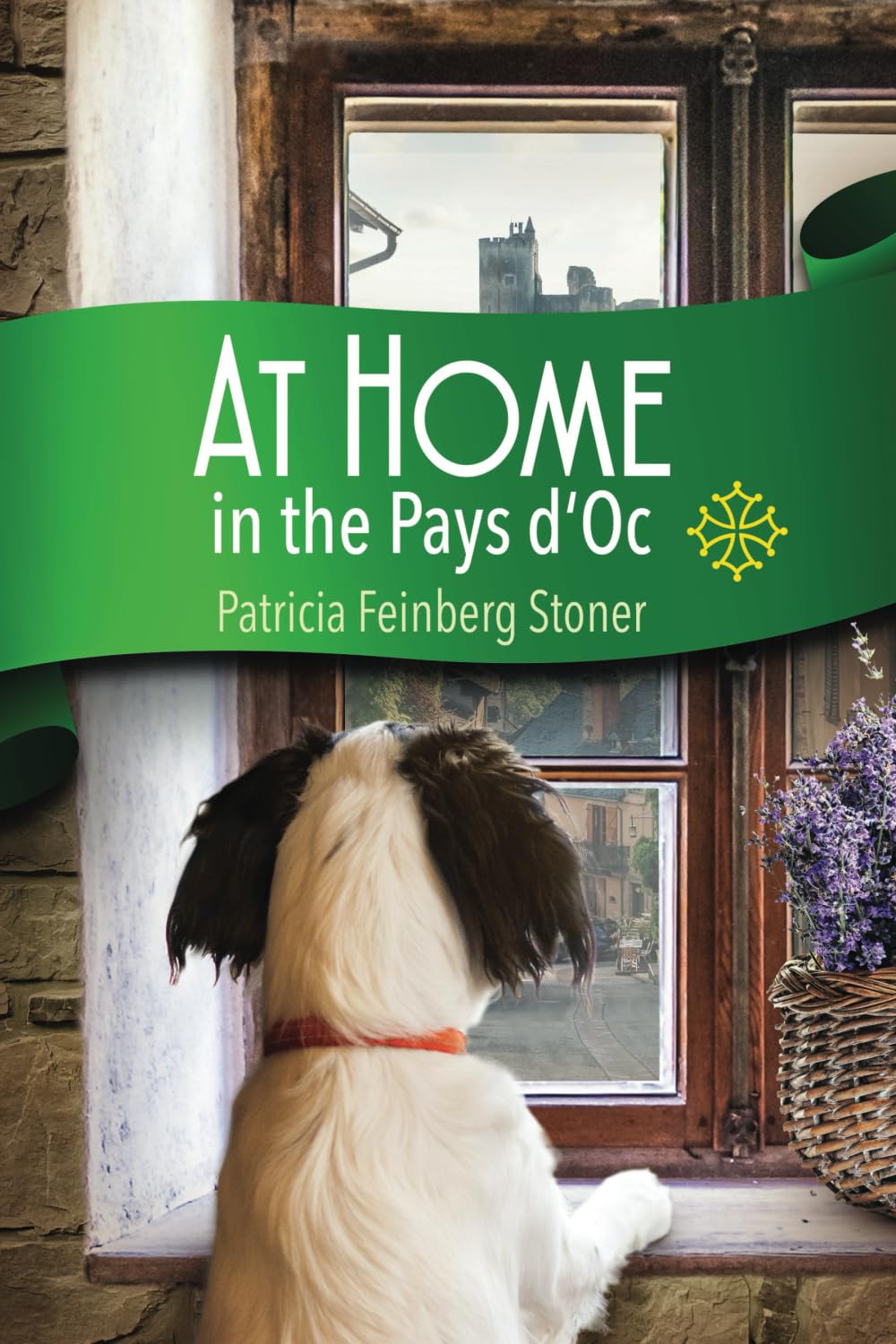 At Home in the Pays d'Oc: The story of two accidental expatriates: A Tale of Accidental Expatriates: 1 (The Pays d'Oc series)