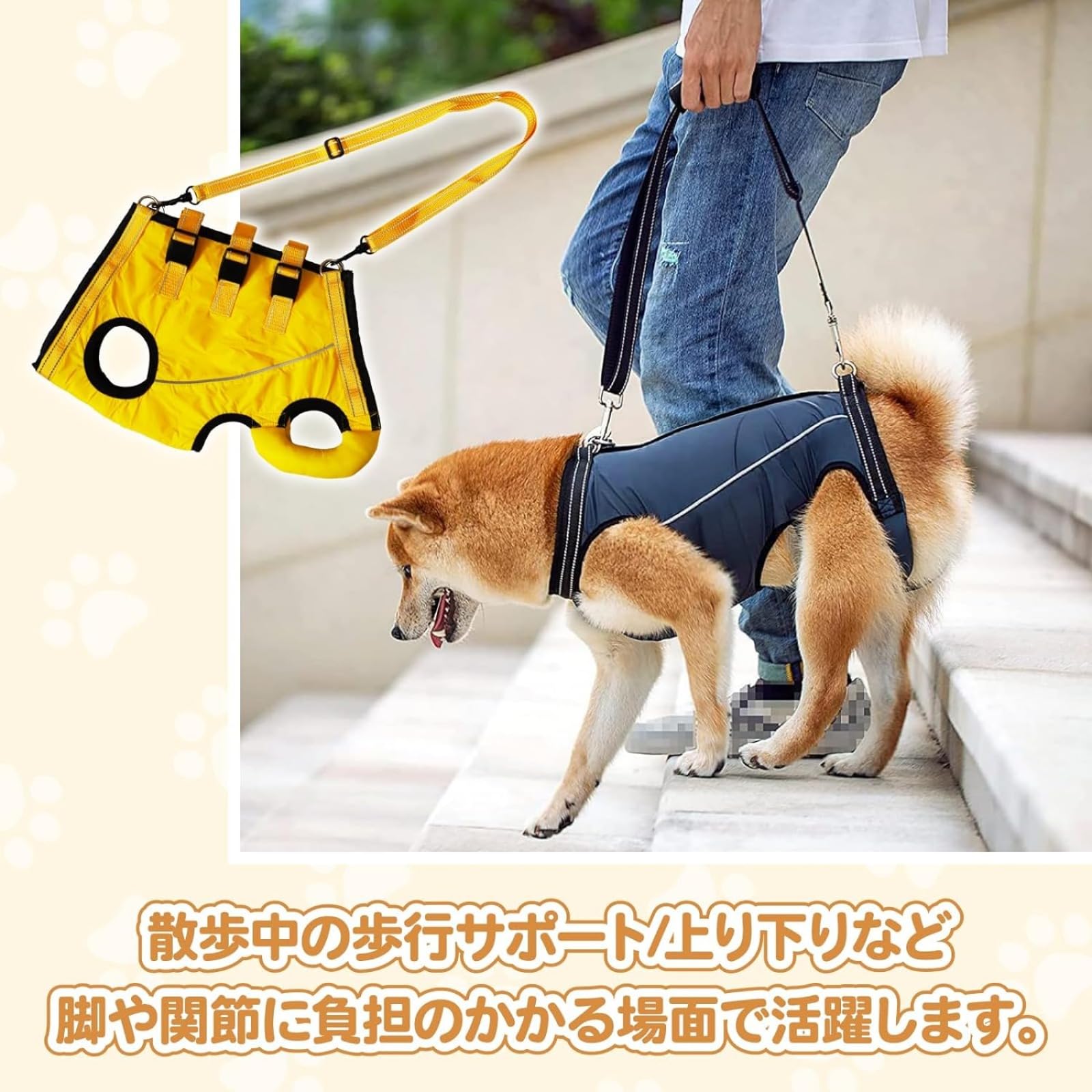 犬 猫 ハーネス リード セット ペット 用品 散歩 脚 障害 介護 リハビリ Amazon | 犬 猫 ハーネス リード セット ペット 用品 散歩 脚