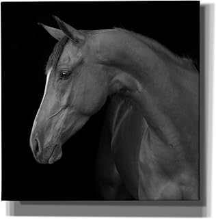 Epic Graffiti 'Jack BW' by Susan Friedman, 26"x26"