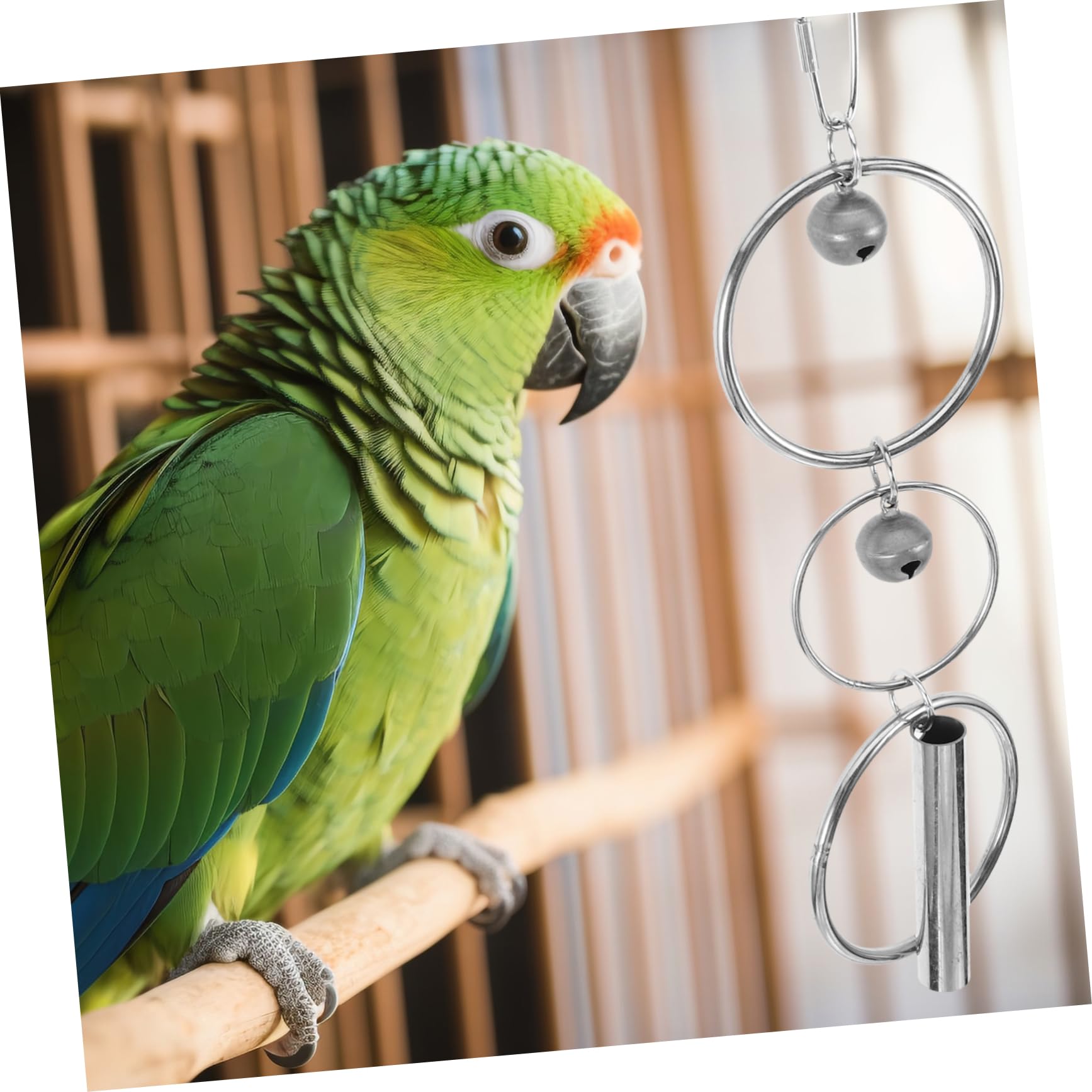Yardwe 5stücke Parakeeten Spielzeug Mit Hängendes Vogelspielzeug Für Papageien Und Wellensittiche Und Langlebig Für Käfige Kauspielzeug