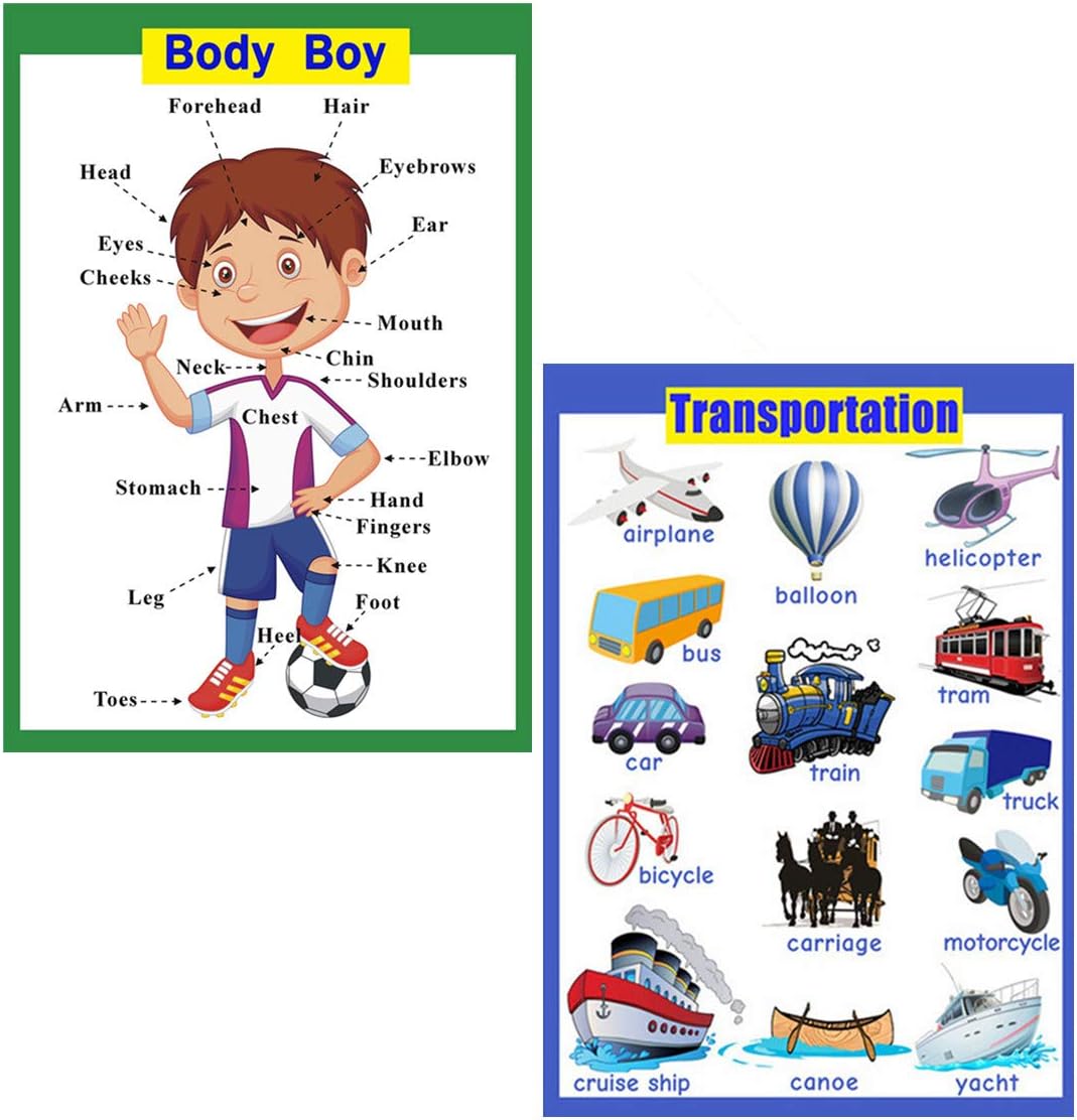 SANTSUN 2 Pcs of Set Educational Preschool Poster for Toddlers and Kids|Great for Nursery Homeschool Kind Classroom decorations|School Wall Decor-Transportation,Body Parts(17x24in)