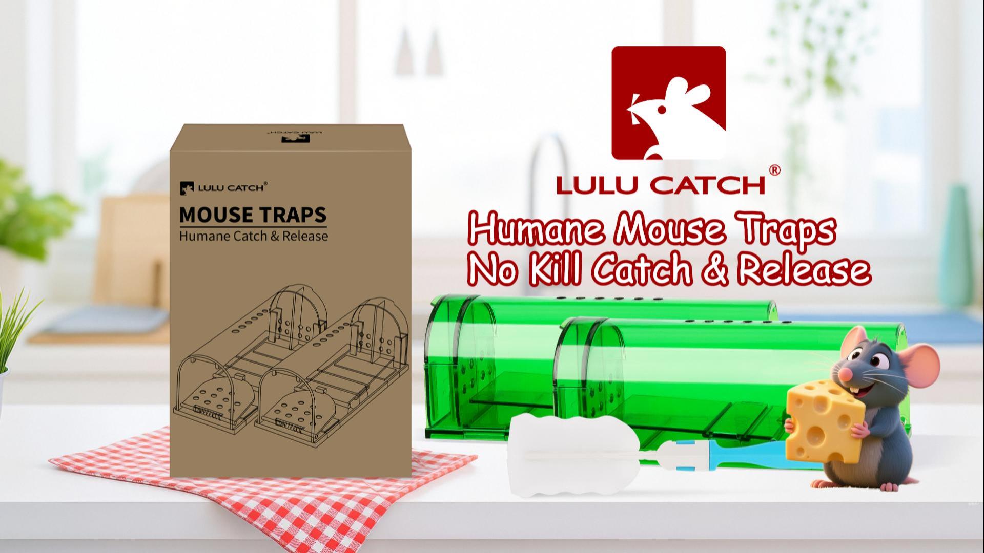 Amazon.com : LULUCATCH Humane Mouse Traps 2 Pack | Live No Touch
