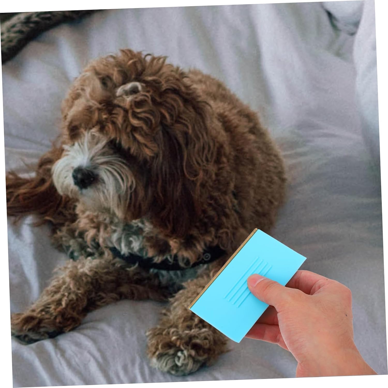 TOYANDONA Pet Hair Cleaning Tool Material Hair Remover Brush for Dogs Carpets Sweaters