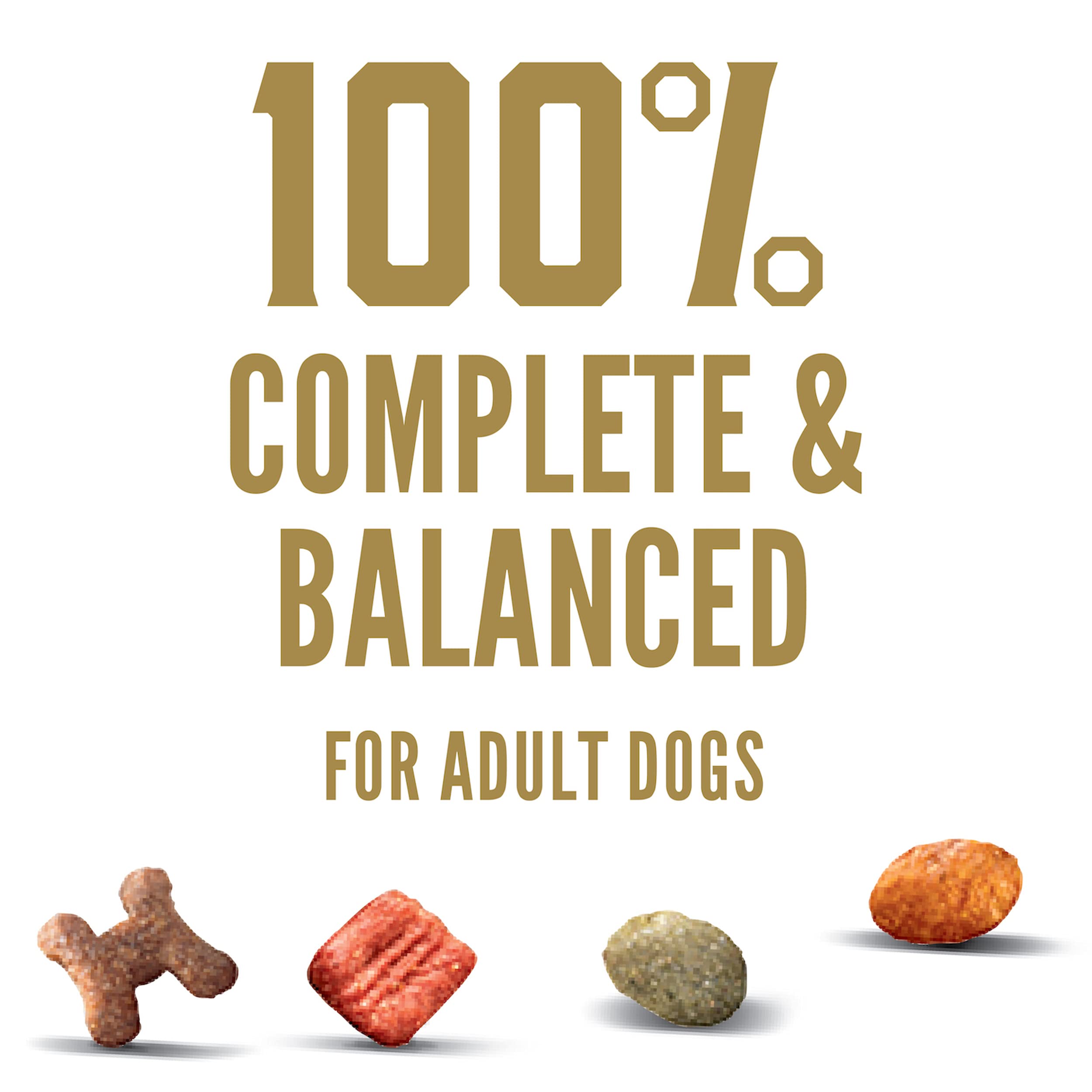 CESAR Small Breed Dry Dog Food Filet Mignon Flavor with Spring