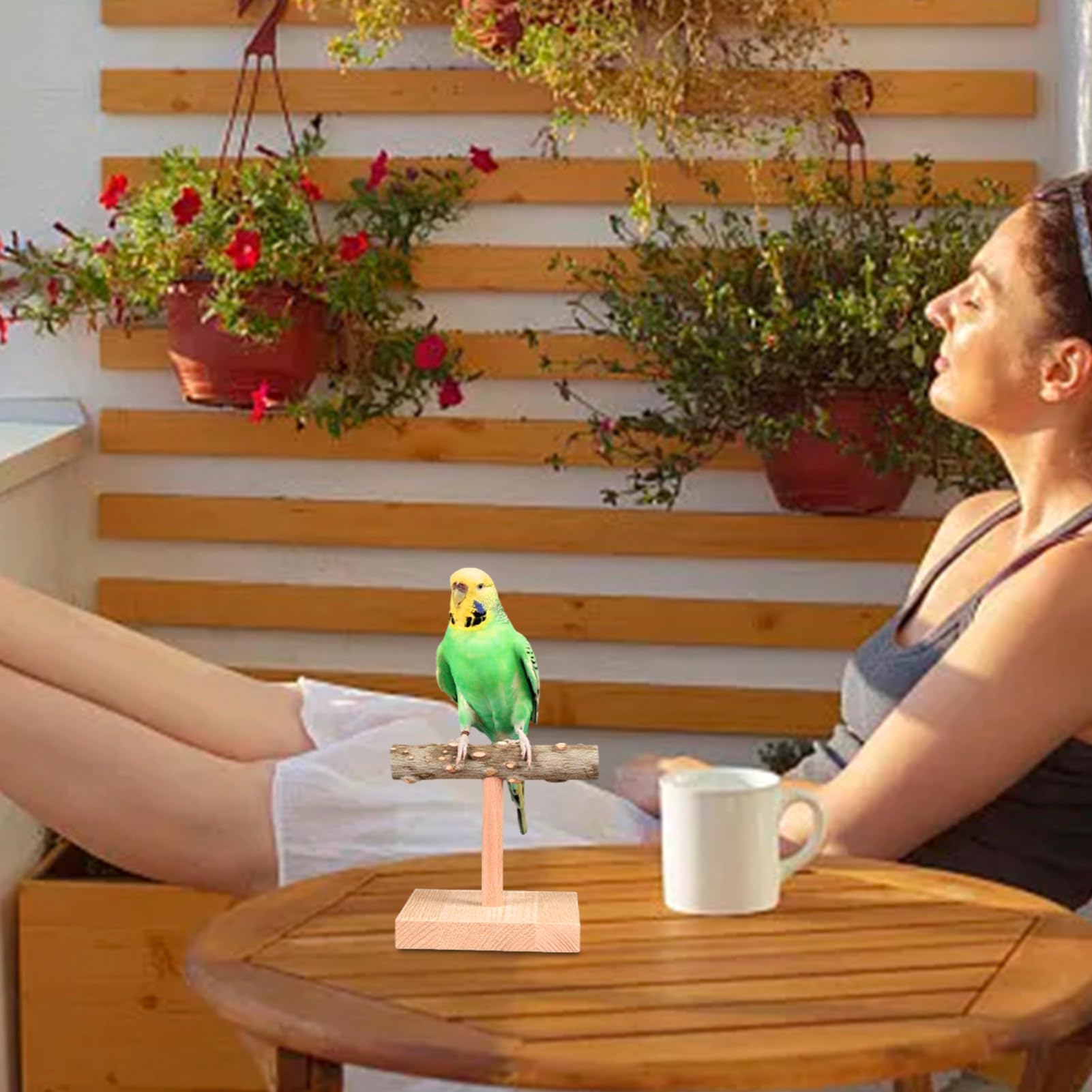 Percha De Madera Natural Para Loros Y Periquitos - Forma De T, Juguete De Ejercicio Para Aves
