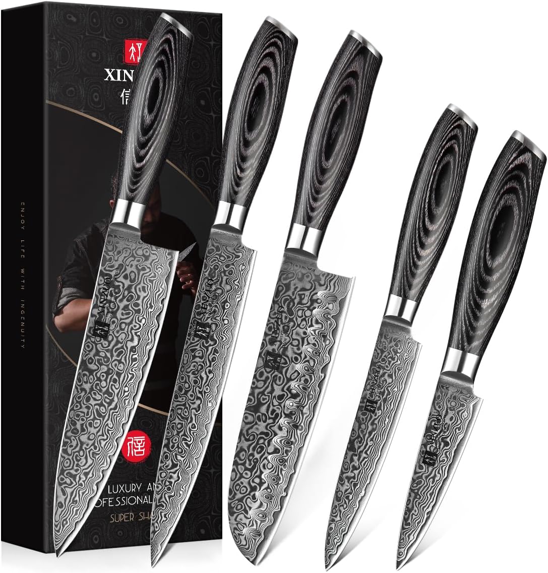 XINZUO 5er Küchenmesser Set 67 Schichten Damaststahl Chefmesser Set, Profi Geschmiedet Damaskus messerset Scharfe Klinge Kochmesser Set -Chef Santoku Tranchier Allzweck Obst Messer -Pakkaholz Griff
