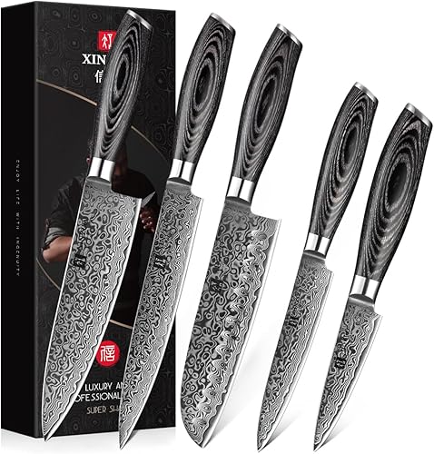 XINZUO Cuchillo de cocina de 5 piezas, juego de cuchillos de chef profesional de acero de Damasco súper afilado con mango de madera de Pakkawood,