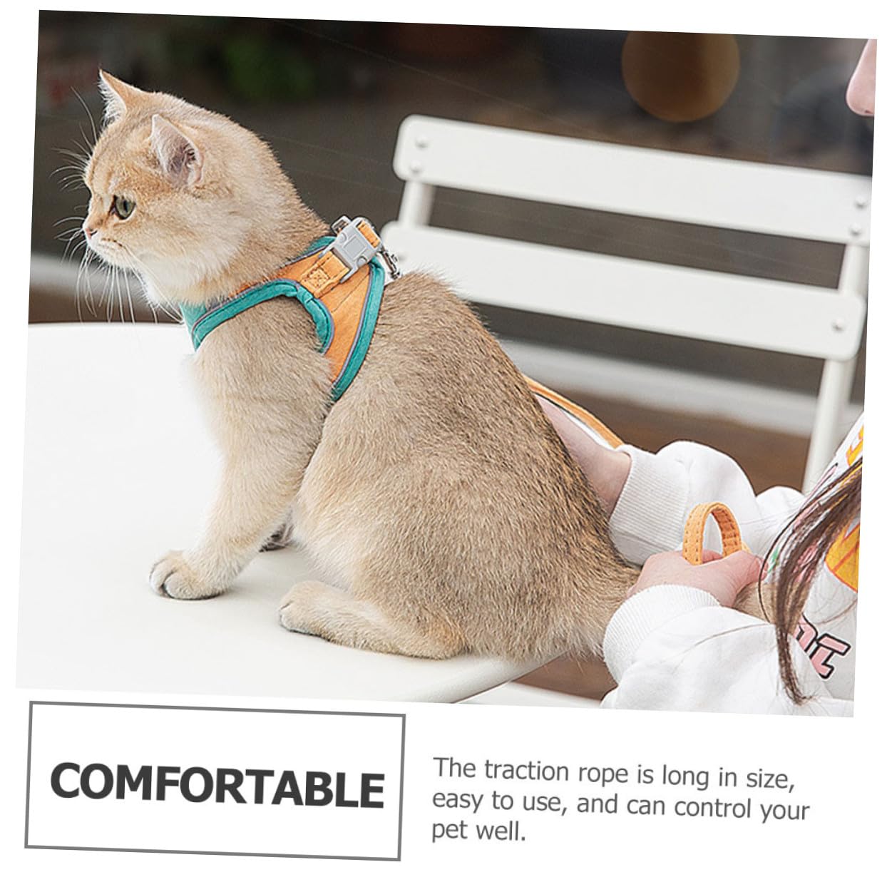 FRCOLOR 3sätze Katzen Geschirr Mit Verstellbarem Atmungsaktive Weste Für Katzen Reflektierend Sicher Und Bequem Für Und Outdoor-aktivitäten
