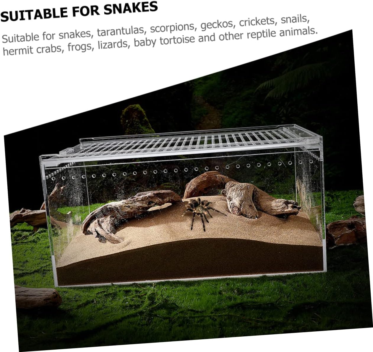 SUPVOX Leak-Proof Reptile Enclosure Habitat Box for Spiders Lizards and Small Reptiles No Assembly Required Practical Feeding Bin for Tarantula and Small