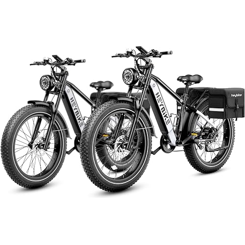 Heybike Brawn Electric Bike for Adults,750W 28MPH 26'' Fat Tire Ebike with 48V 18Ah Removable Battery,Off Road Electric Mountain Bike,Hydraulic Front Fork Electric Bicycles 528