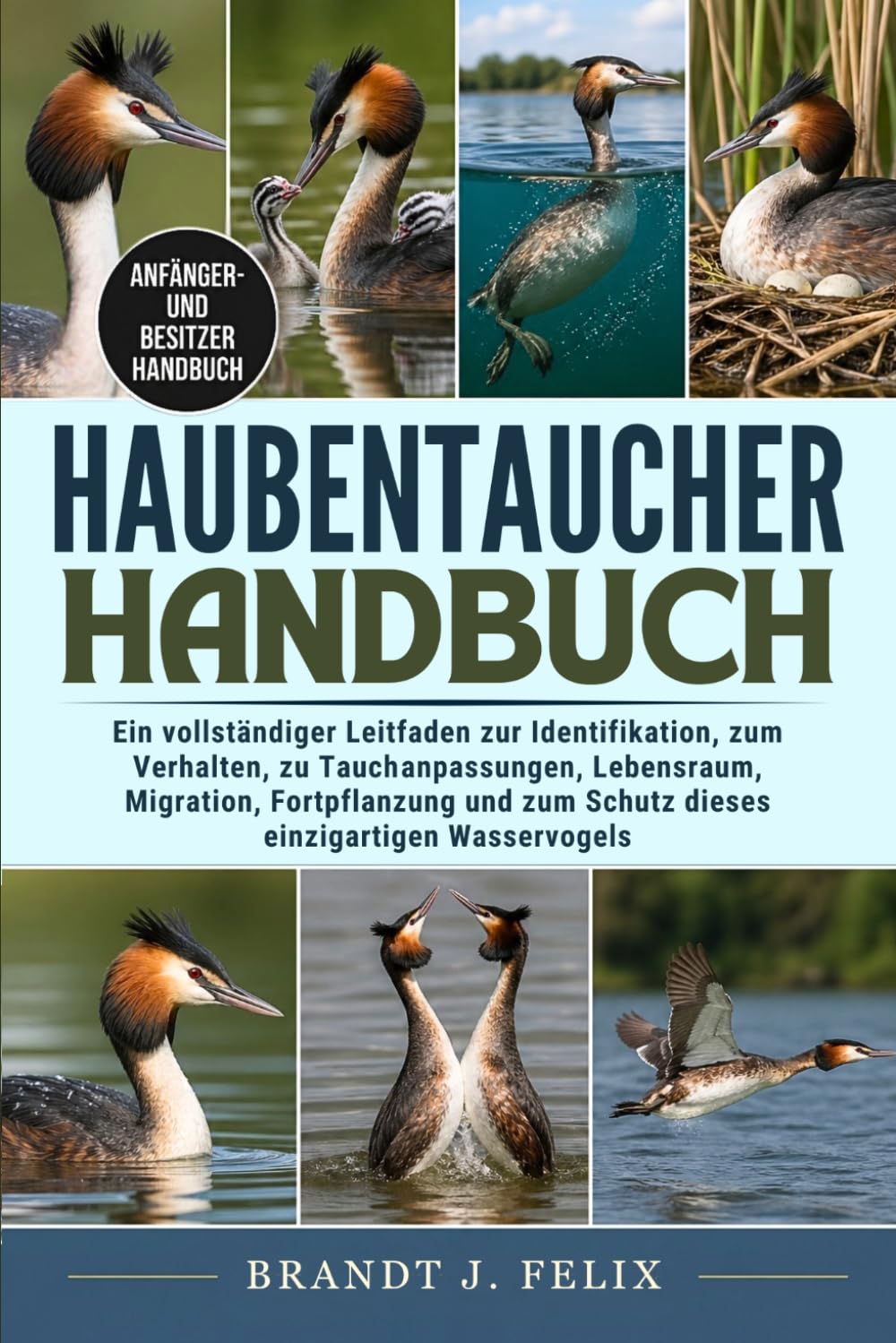HAUBENTAUCHER-HANDBUCH: Ein vollständiger Leitfaden zur Identifikation, zum Verhalten, zu Tauch¬anpassungen, Lebensraum, Migration, Fortpflanzung und zum Schutz dieses einzigartigen Wasservogels