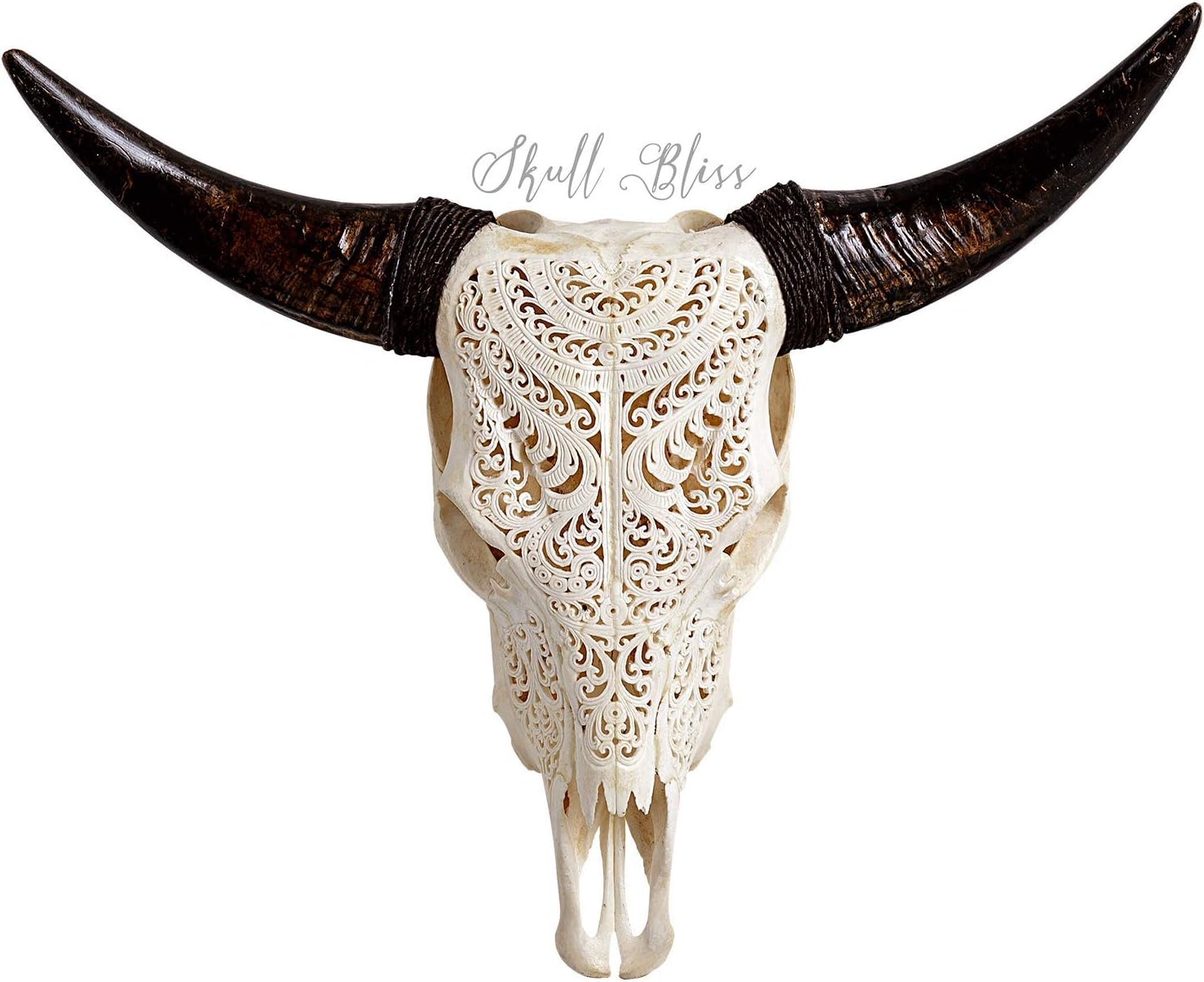 25'' Real Cow Skull with Horns & Carving - Made by SkullBliss
