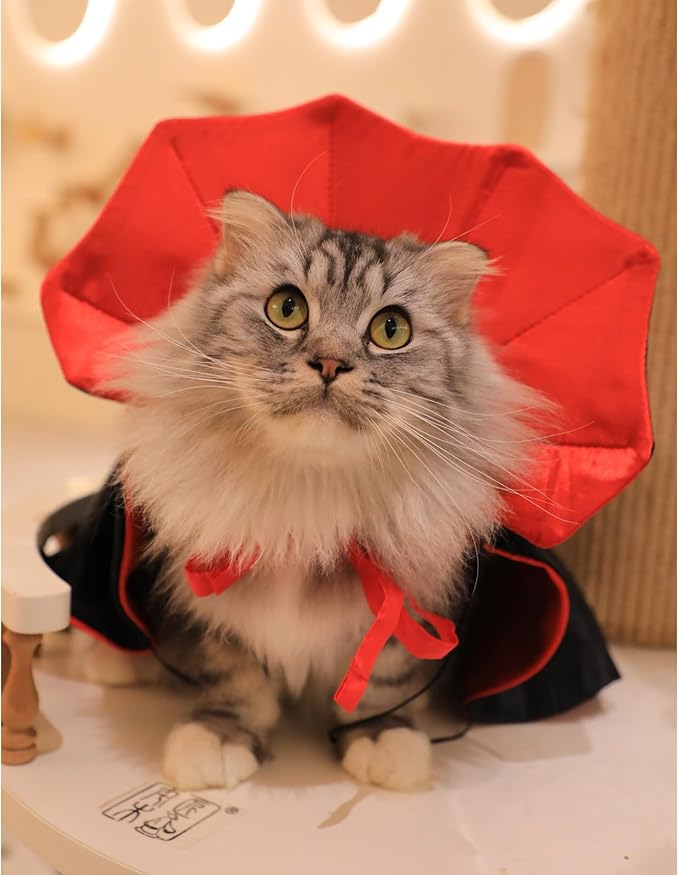 Capa de Vampiro para Perros y Gatos Talla S, Disfraz Halloween miniatura 2