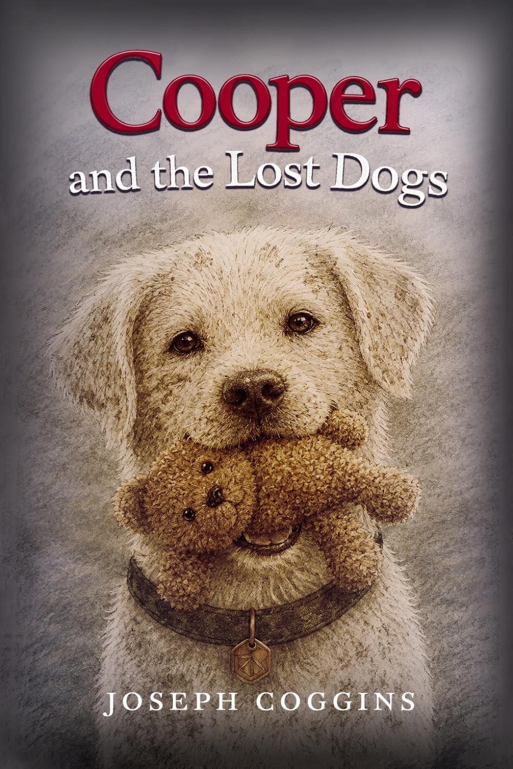 Cooper and the lost Dogs