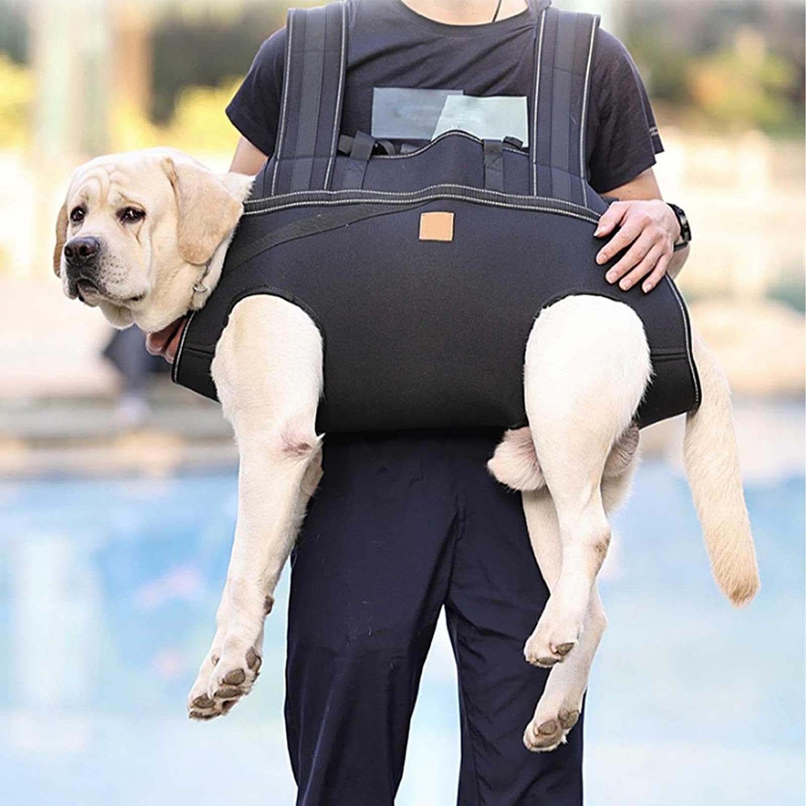 Guinzaglio Sollevatore per Cani Pettorina Regolabile Traspirante | Imbracatura Assistenza Mobilità Canina per Assistenza Mobilità Passeggiate Viaggio Escursioni Riabilitazione Anziani Taglie
