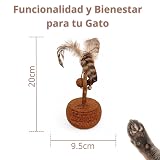 Ver la foto 5