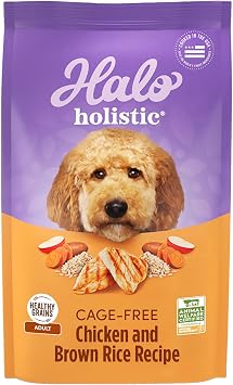 Halo Holistic Dry Dog Food, Cage-Free Chicken & Brown Rice Recipe, 21 lb | Natural Ingredients, Healthy Grains, Complete Digestive Health, Kibble for Adult Dogs