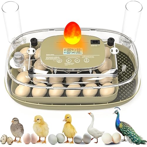 Incubators for Hatching Eggs,24 Eggs Capacity with Automatic Turning, Accurate Temp & Humidity Control, Egg Candler, Air Vent, and 360° Viewing for Chicken, Duck, Quail & Goose Eggs