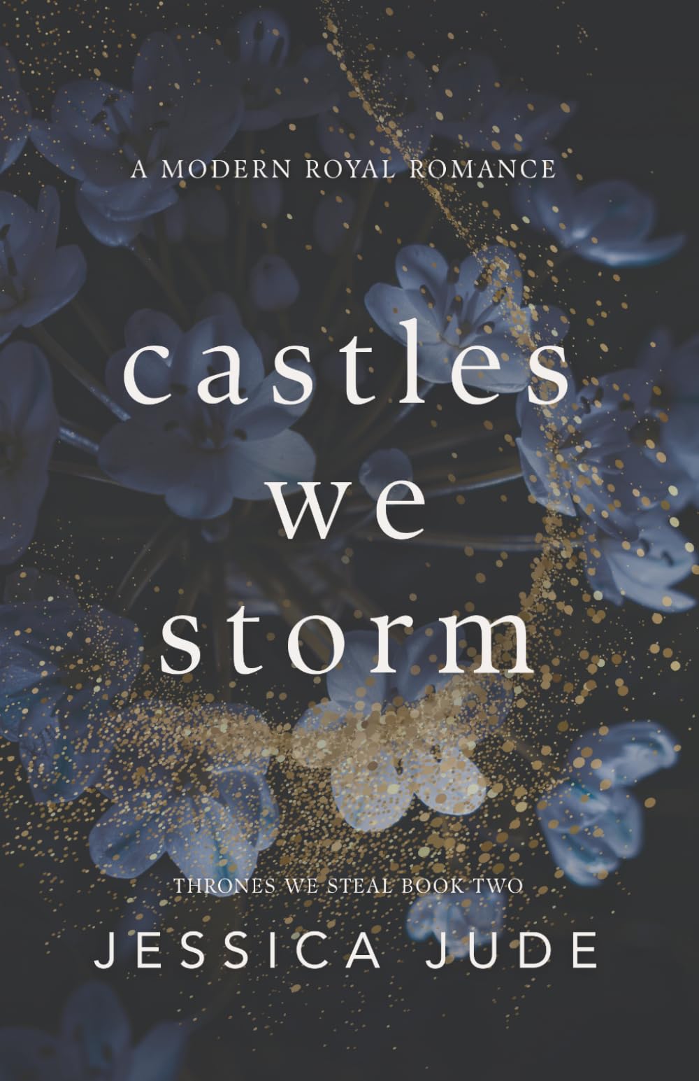 Castles We Storm: A Forced Proximity Billionaire x Royal Romance: 2 (Thrones We Steal)