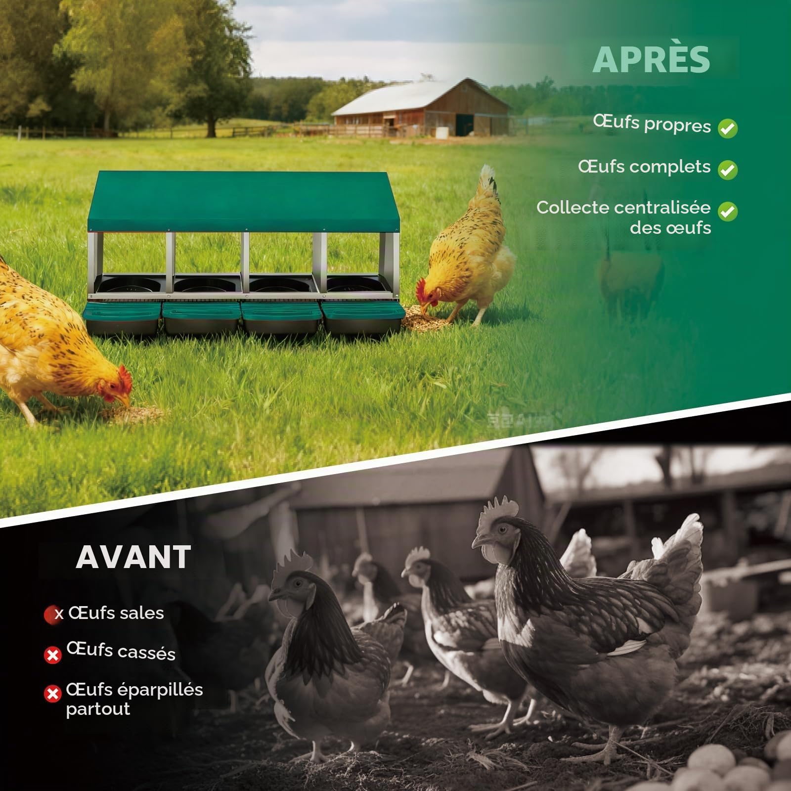 Nichoirs à œufs pour poules, 4 compartiments, nid de poule à déplacer avec trous d'aération et bac récupérateur, crée un espace de collecte sécurisé pour les œufs pondus, nichoirs à fixer au mur