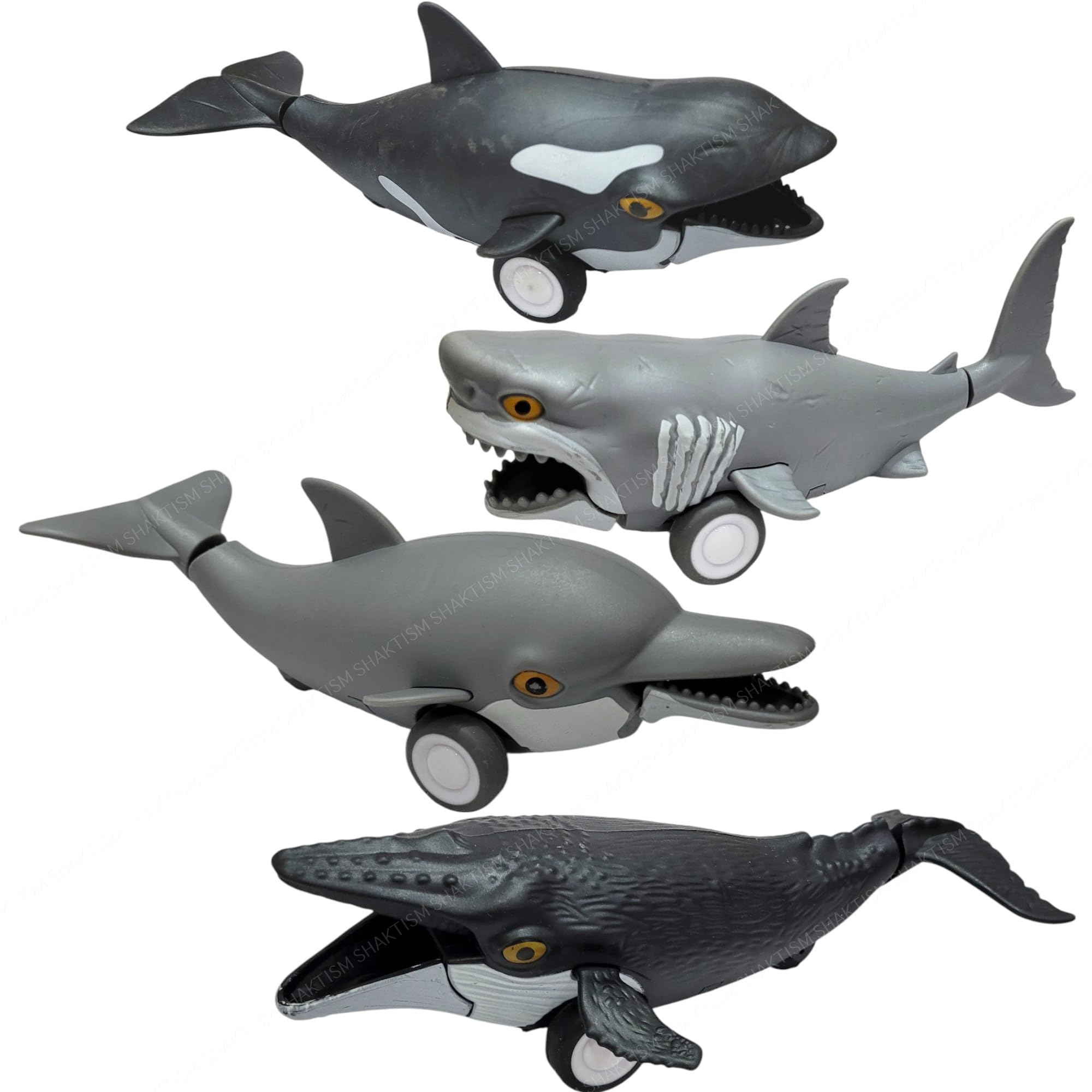 Buy SHAKTISM Ocean Life Pull Back Marine Animals Toy Featuring