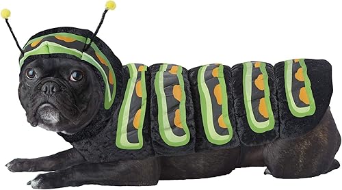 CALIFORNIA COSTUME COLLECTIONS Pet CATERPILLAR - Disfraces para perro, naranja, XS US