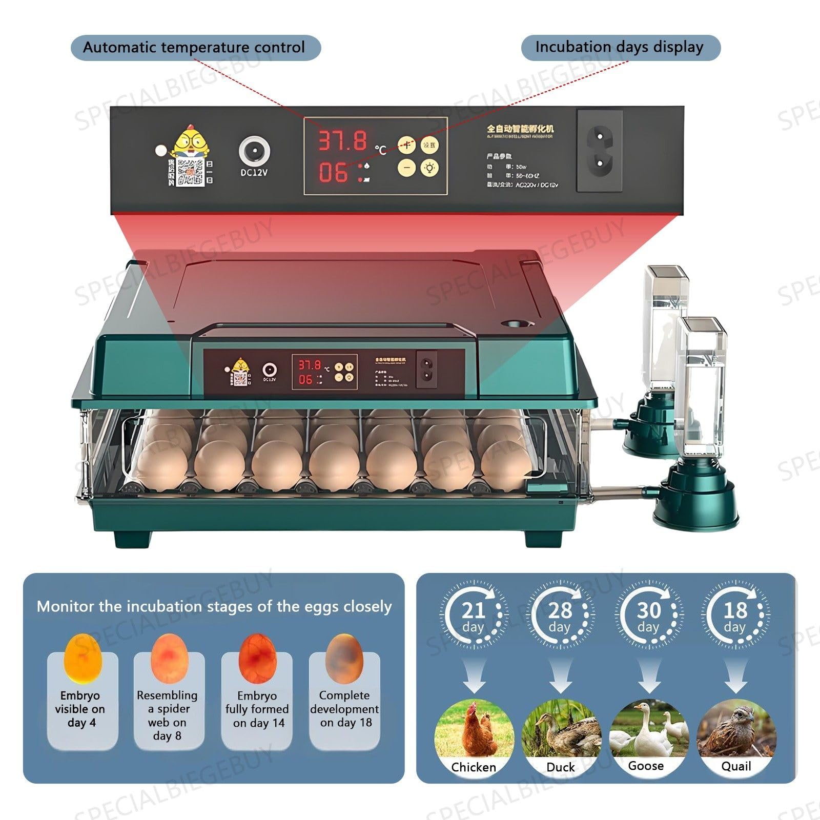 Incubadora De 36 Huevos Para Eclosionar Pollitos, Ventana De Observación Panorámica Ultra Clara Multifuncional, Contador De Días De Eclosión Y Ovoscopio, Equipada Con Volteador Automático De Huevos