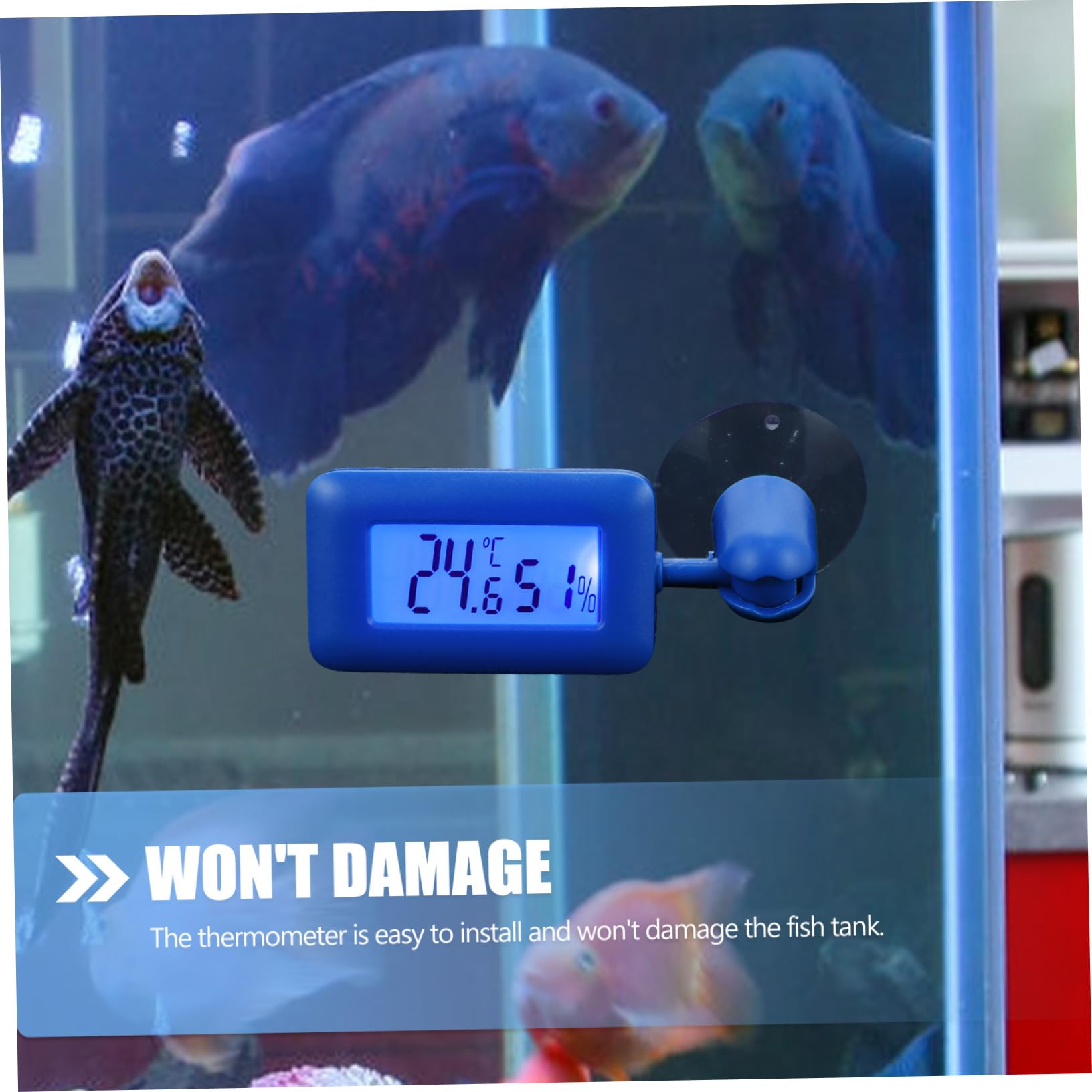 Sosoport 4stücke Reptilien-thermometer Mit Saugnapf Drehbar Blaues Hygrometer Für Terrarien Und Aquarien Digitale Temperatur Und Luftfeuchtigkeitsmessung Installieren Und Praktisch Für