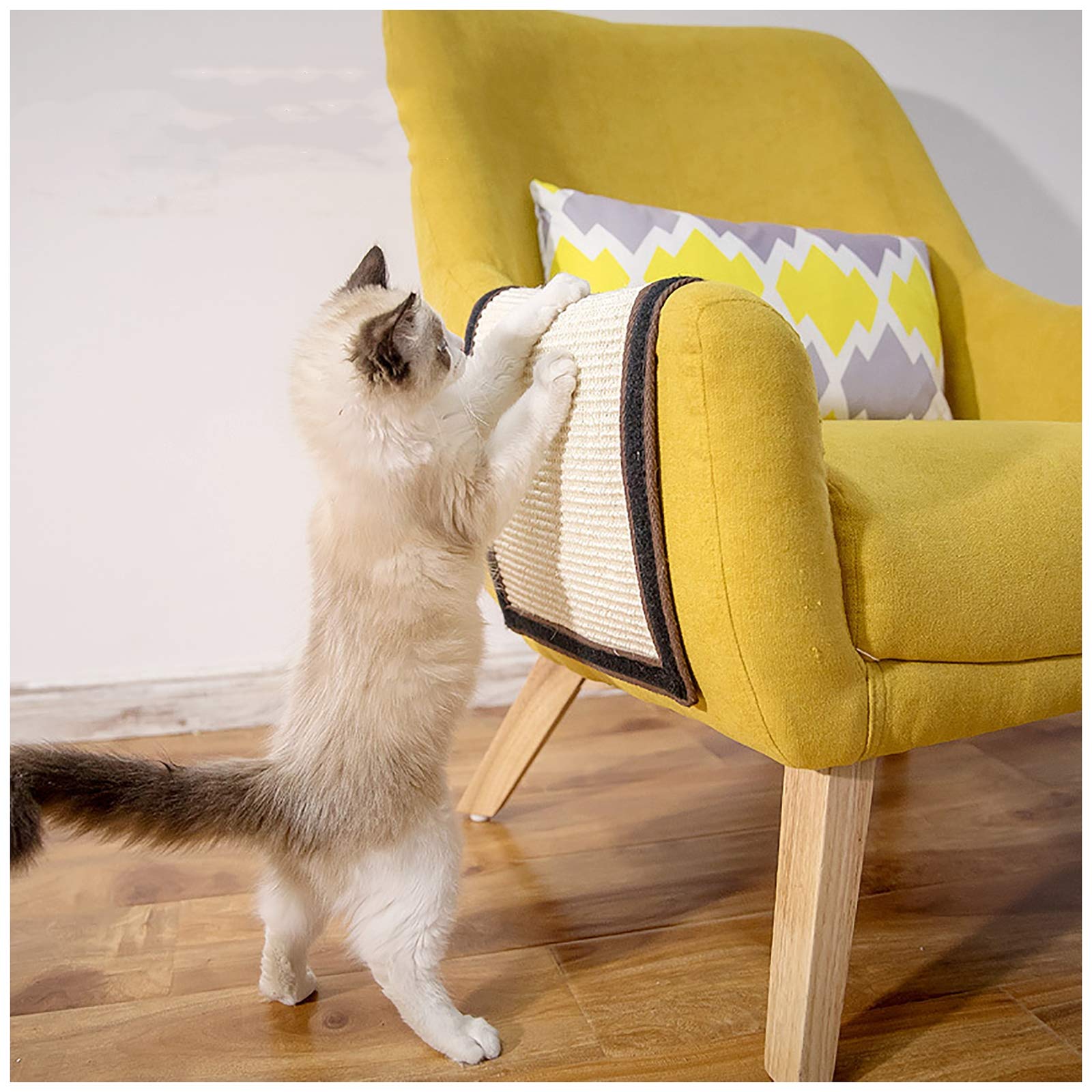 Meubles et canapé sauvés des griffes de chat grâce au tapis de protection mural
