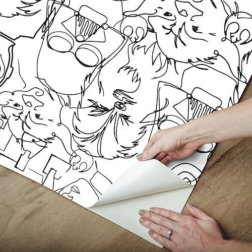 Miniatura 3 de RoomMates, RMK12451PL - Papel pintado de Star Wars Saga Line Sketches, color negro