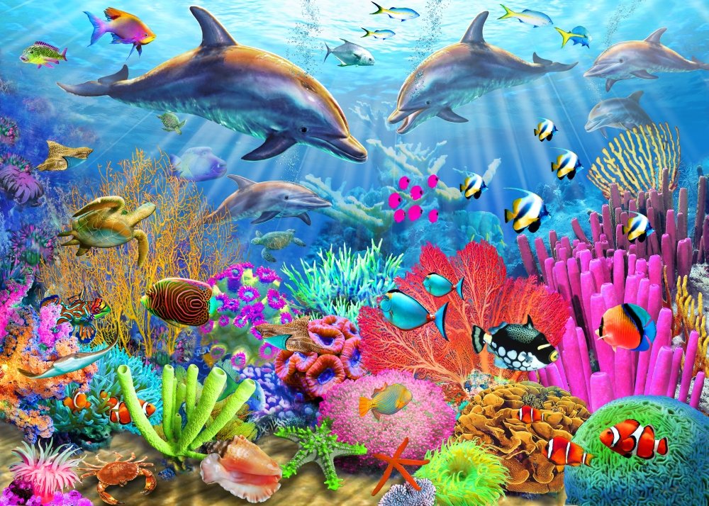 Amazon.com: Posterazzi Dolphin Coral Reef (Variant 1) Poster Print