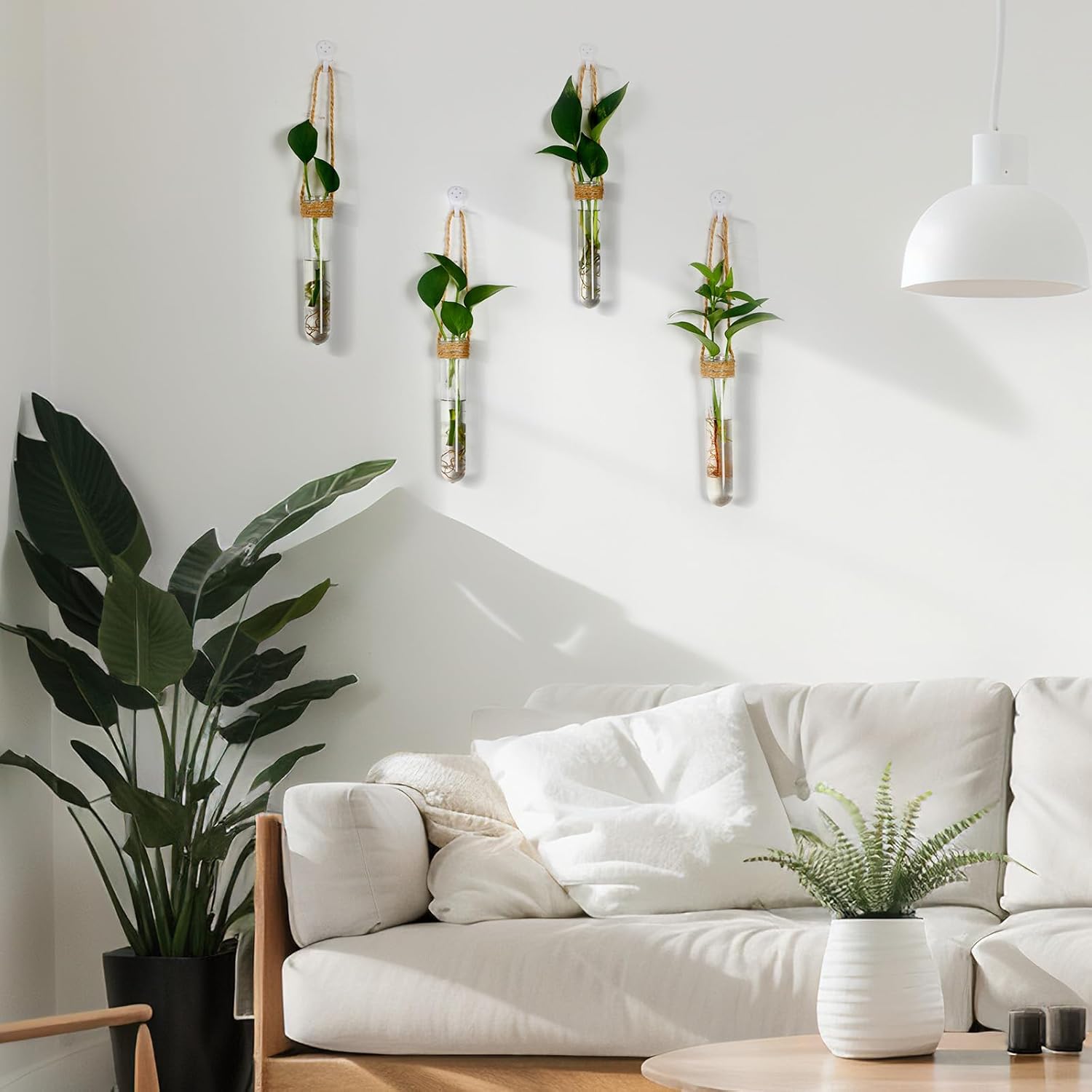 Baderke 9 Pack 5" Clear Window Propagation Stations Plastic Window Planter with Suction Cups & Traceless Nails, Propagated Plant Holders with Bottle Brush, Wall Hanging Planter Vases Terrarium Gifts - Image 6