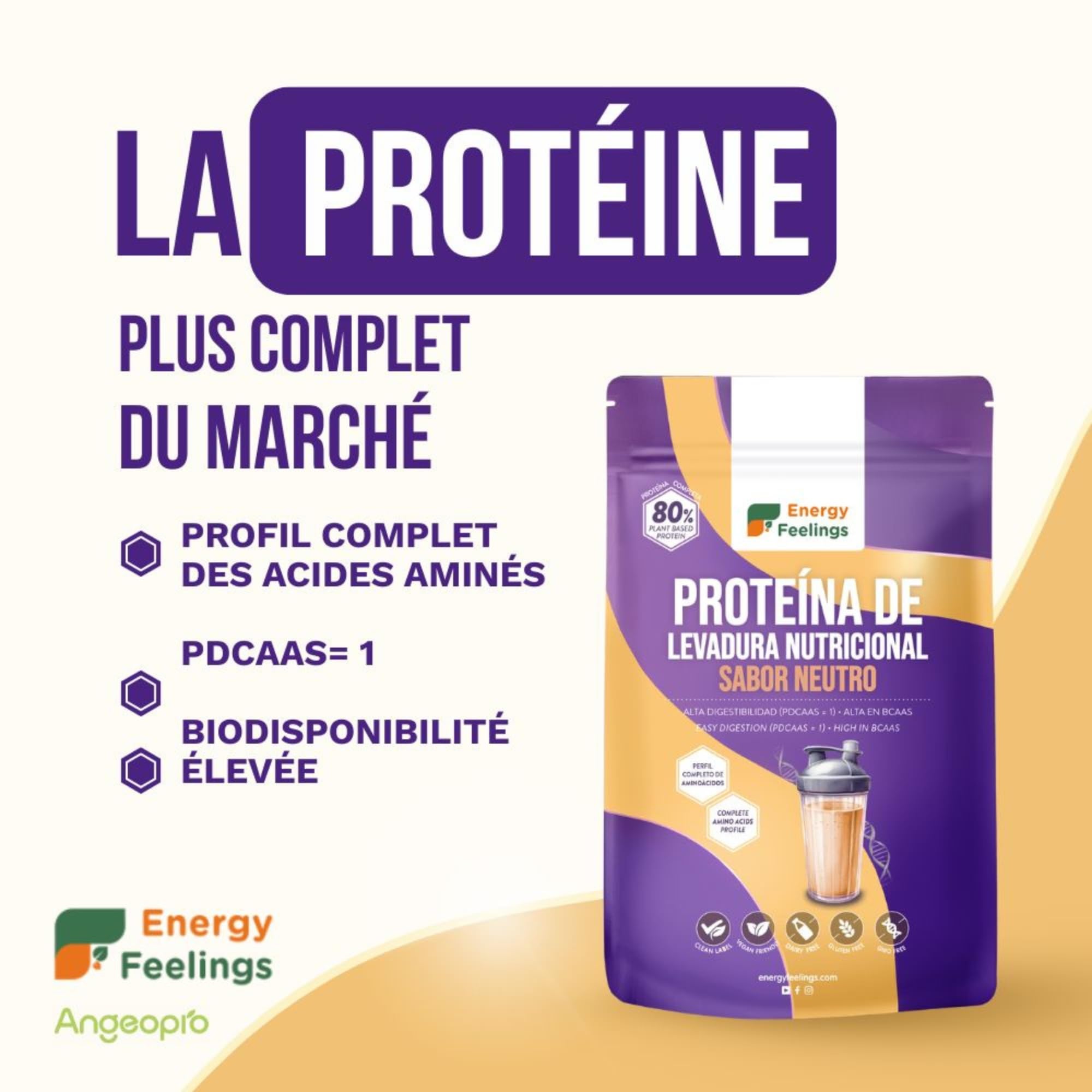 Energy Feelings Protéine Végétale de Levure Nutritionnelle 80%, Vegan Protein Powder, Protéine en Poudre Goût Neutre Sans Sucre Ajouté et Sans Lactose pour Musculation, Naturelle, 1kg