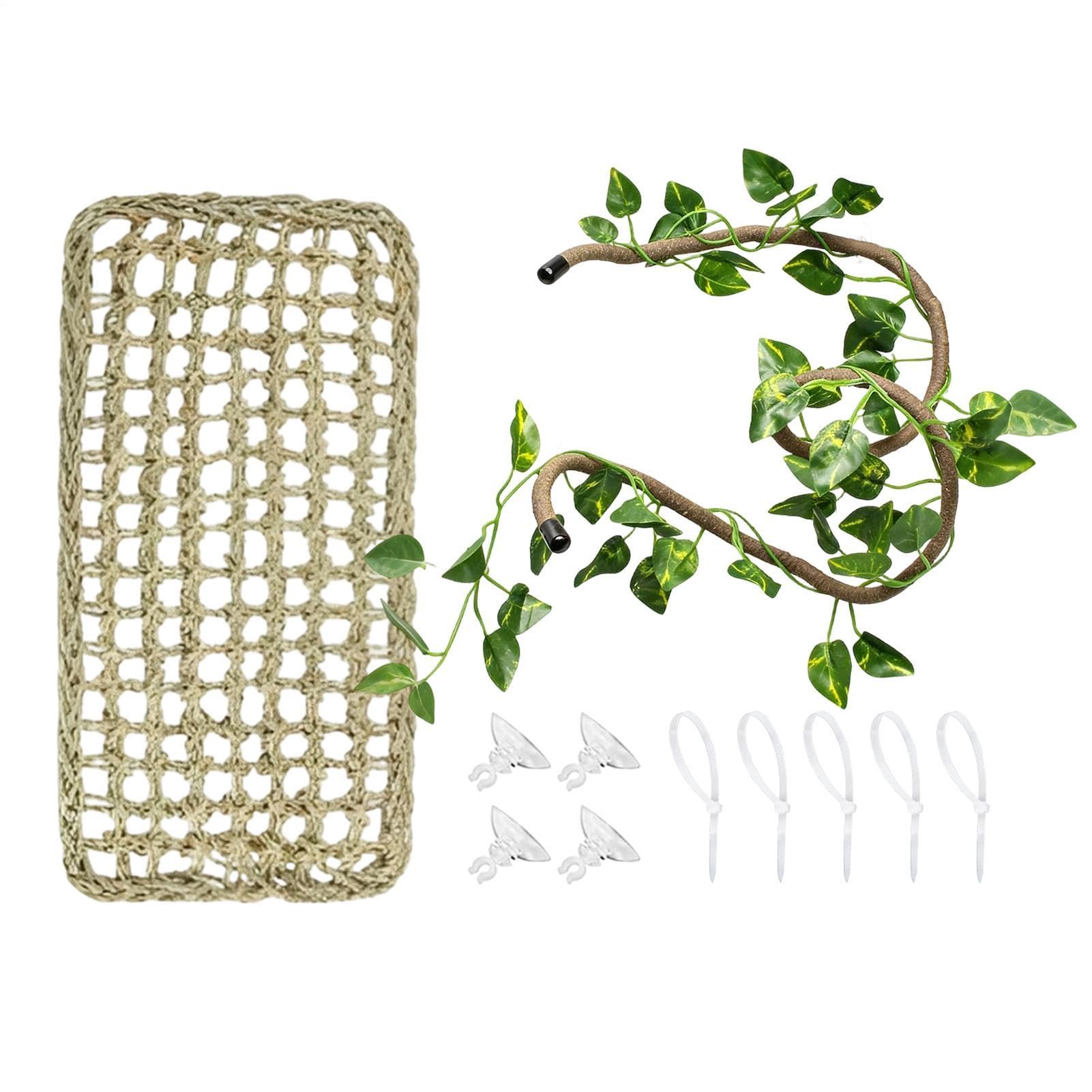 Branches de reptile pour aménager un habitat de caméléon