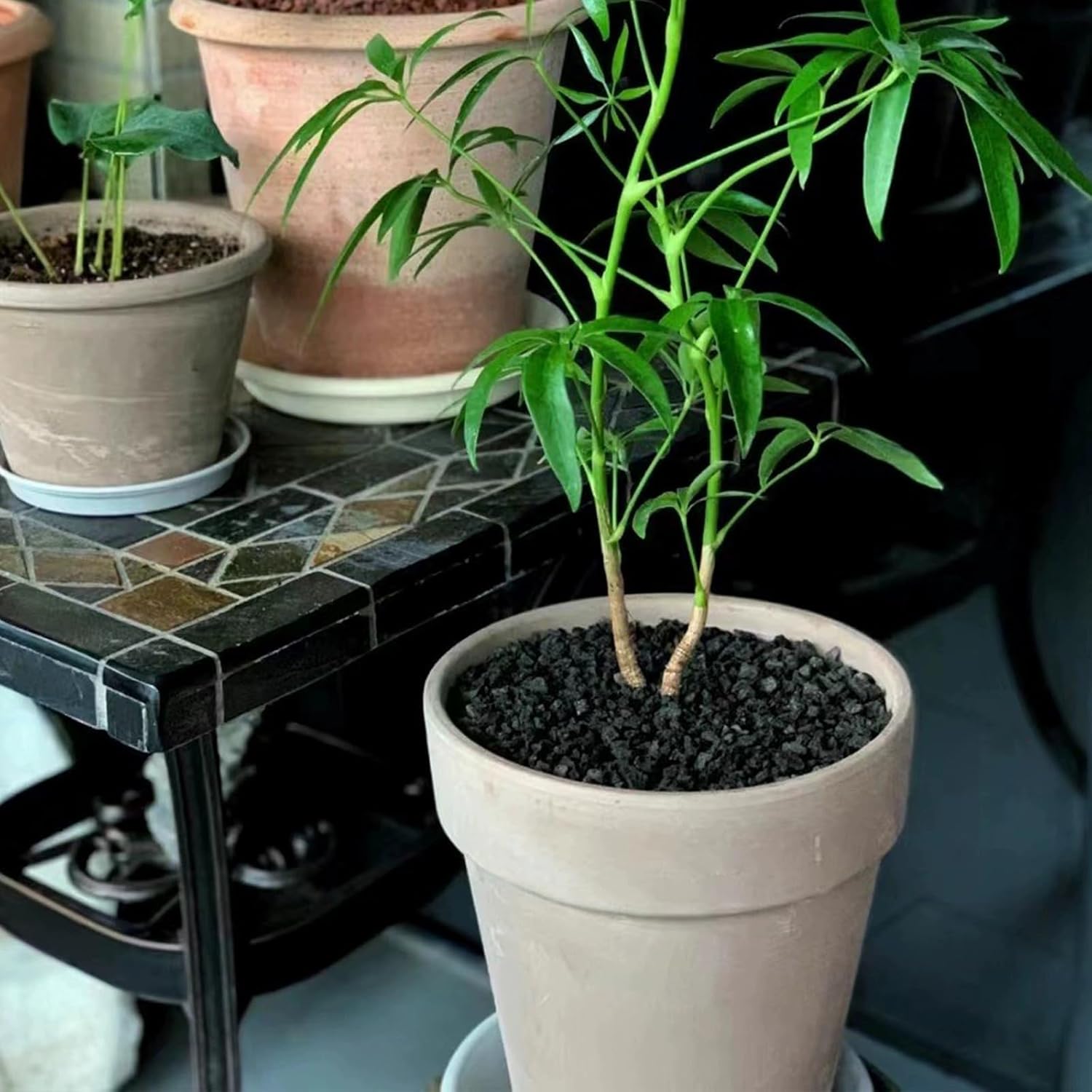 5 lbs Small Black Lava Rocks for Plants,1/4 Inch Crush Volcanic Rock Pumice Soil Additive for Succulent Aquarium Cactus Bonsai Fire Pits and Garden Landscaping - Image 6